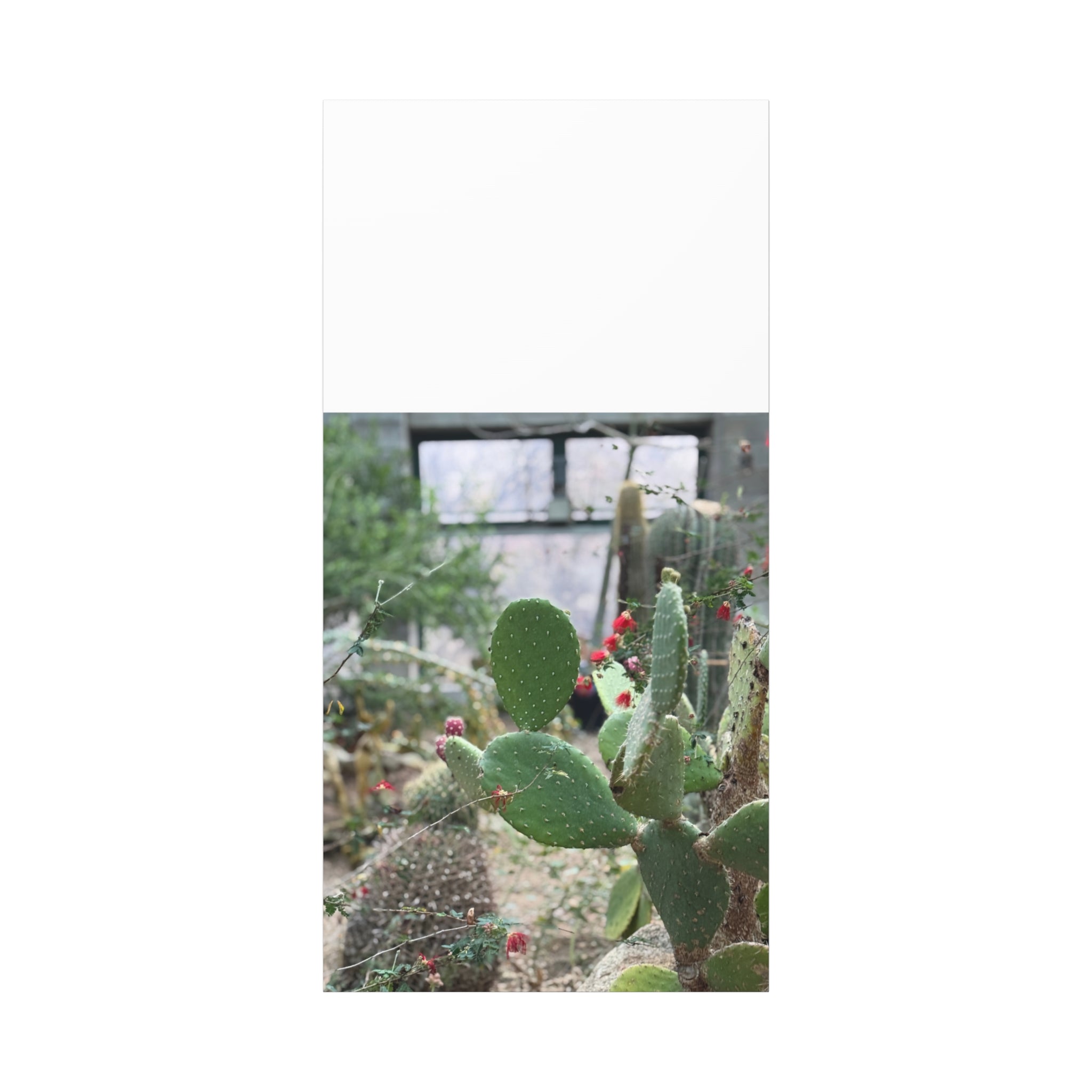 Cactus Matte Canvas Wall Art, Nature Decor, Southwestern Room Design, Green Plant Prints, Home and Office Wall Decor