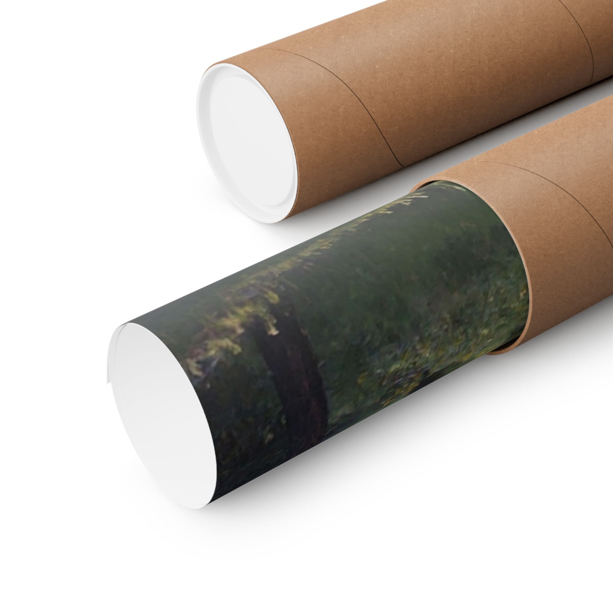 Nature-Inspired Matte Vertical Posters, Forest Wall Art, Home Décor, Greenery Prints, Gifts for Nature Lovers, Nature Photography