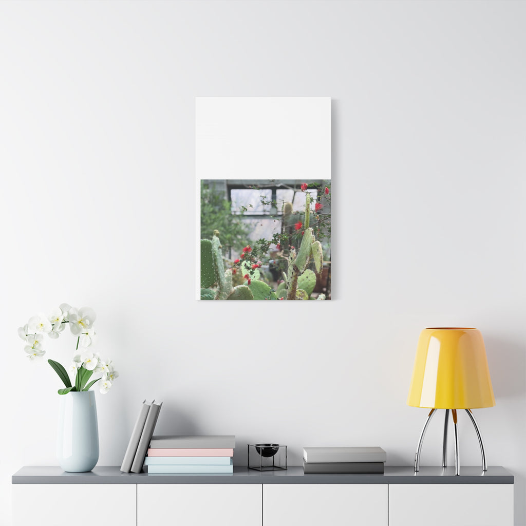Cactus Wall Art Print, Nature Home Decor, Bohemian Style Artwork, Botanical Gift, Succulent Canvas