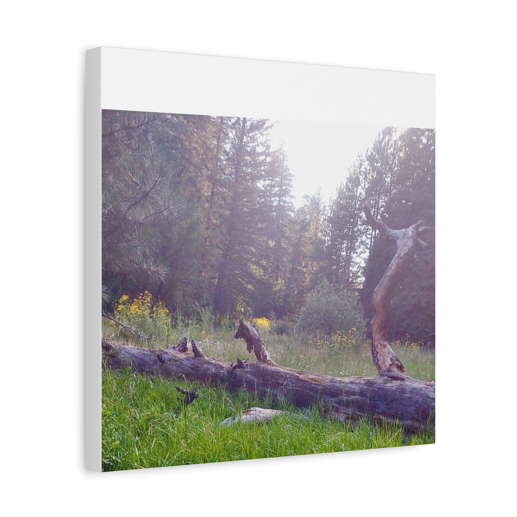 Matte Canvas Wall Art - Serene Nature Scene, Perfect for Home Decor, Gift for Nature Lovers, Office Wall Decoration, Rustic Art Print