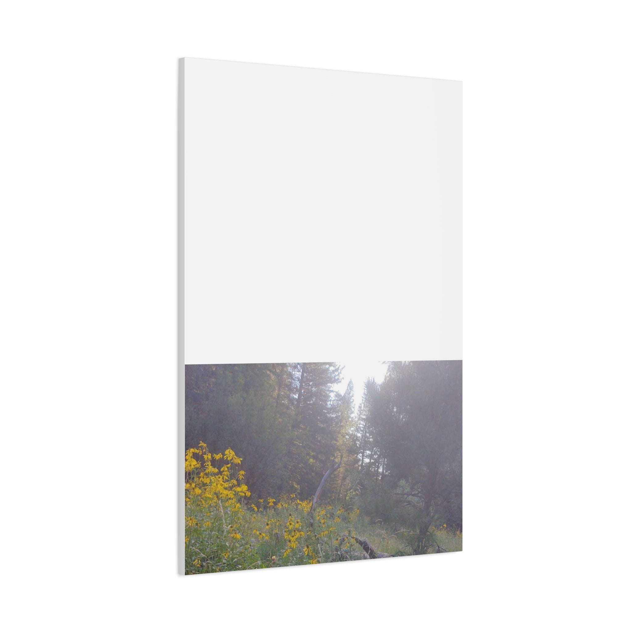 Matte Canvas, Stretched, 1.25"