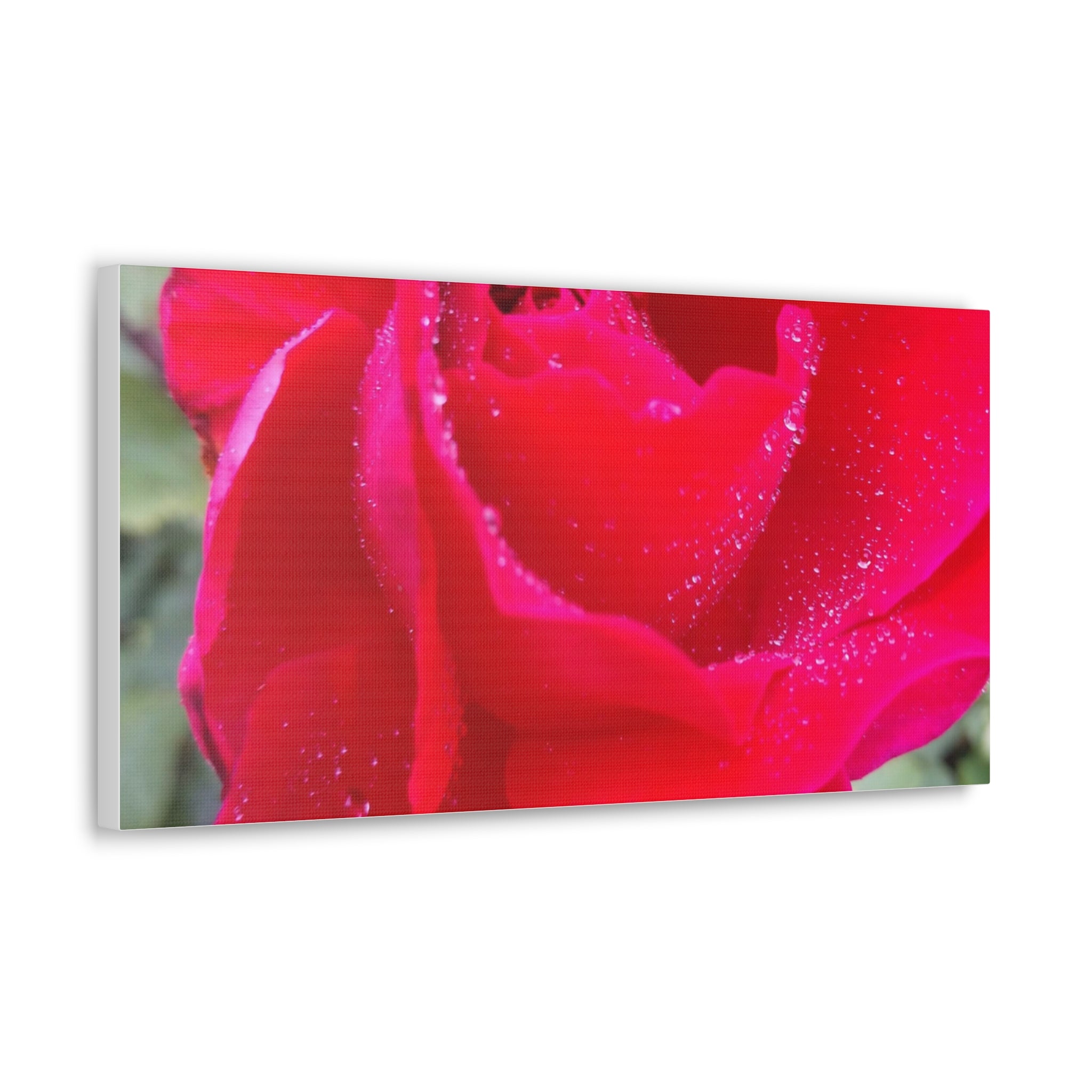 Stunning Floral Canvas Print, Home Decor, Wall Art, Gift for Flower Lovers, Red Rose Art, Mother's Day Gift