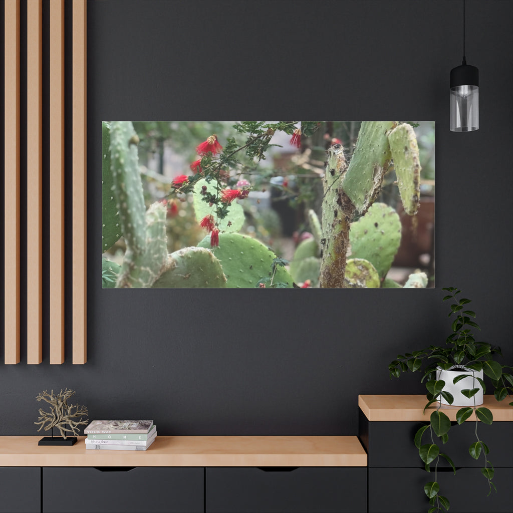 Cactus Artwork Print, Botanical Wall Decor, Succulent Canvas, Nature Lover Gift, Home Decoration