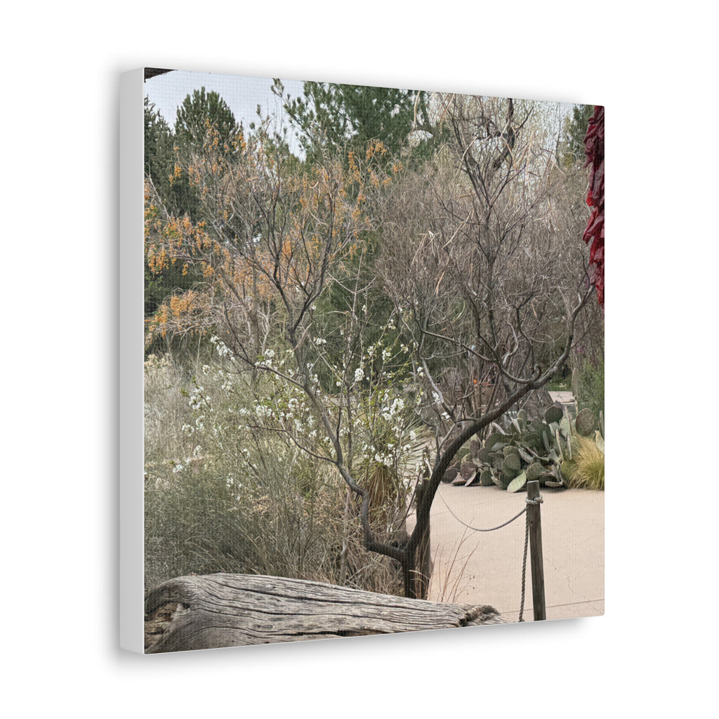 Classic Canvas Art Print, Bohemian Decor, Nature Wall Art, Home Gallery, Rustic Wall Decoration