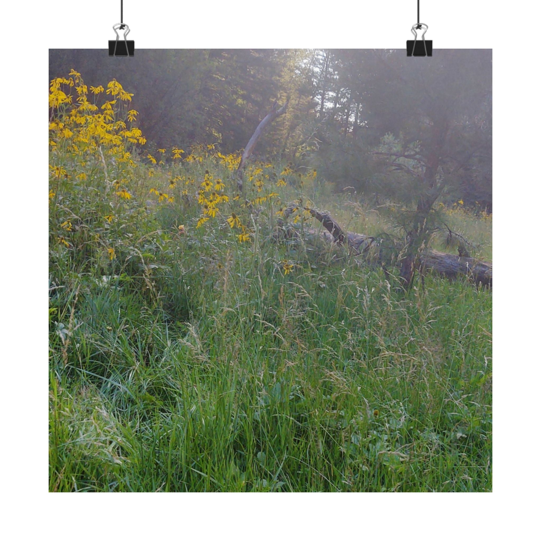 Nature-Inspired Matte Vertical Posters, Floral Art Print, Wall Decor, Home Aesthetic, Cottage Core Decor, Boho Wall Art