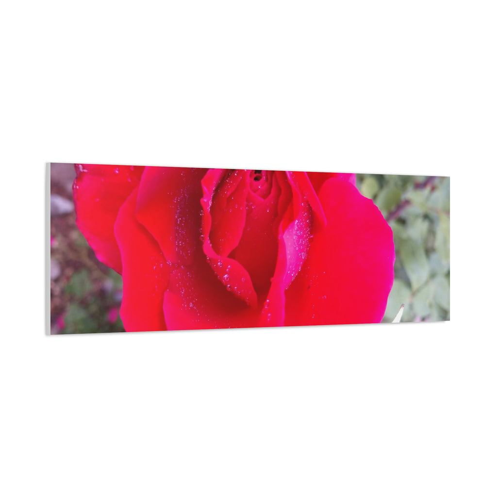 Vibrant Floral Canvas Art, Elegant Wall Decor, Perfect for Home, Gifts, Mother's Day, and Weddings