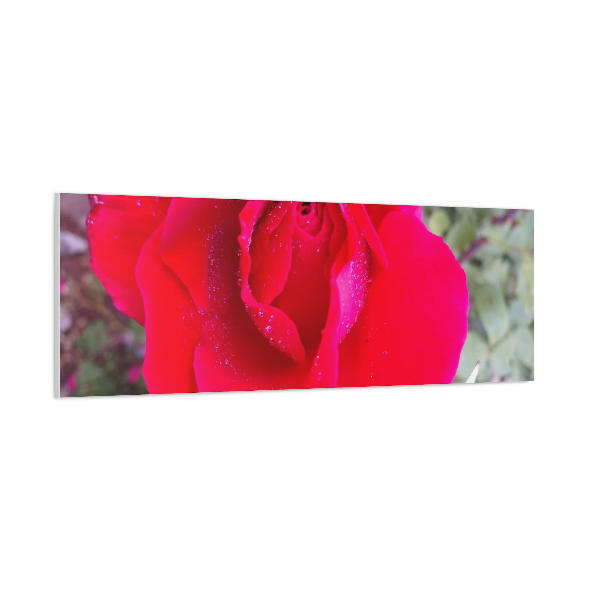 Vibrant Floral Canvas Art, Elegant Wall Decor, Perfect for Home, Gifts, Mother's Day, and Weddings