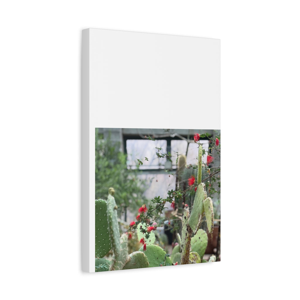 Cactus Wall Art Print, Nature Home Decor, Bohemian Style Artwork, Botanical Gift, Succulent Canvas