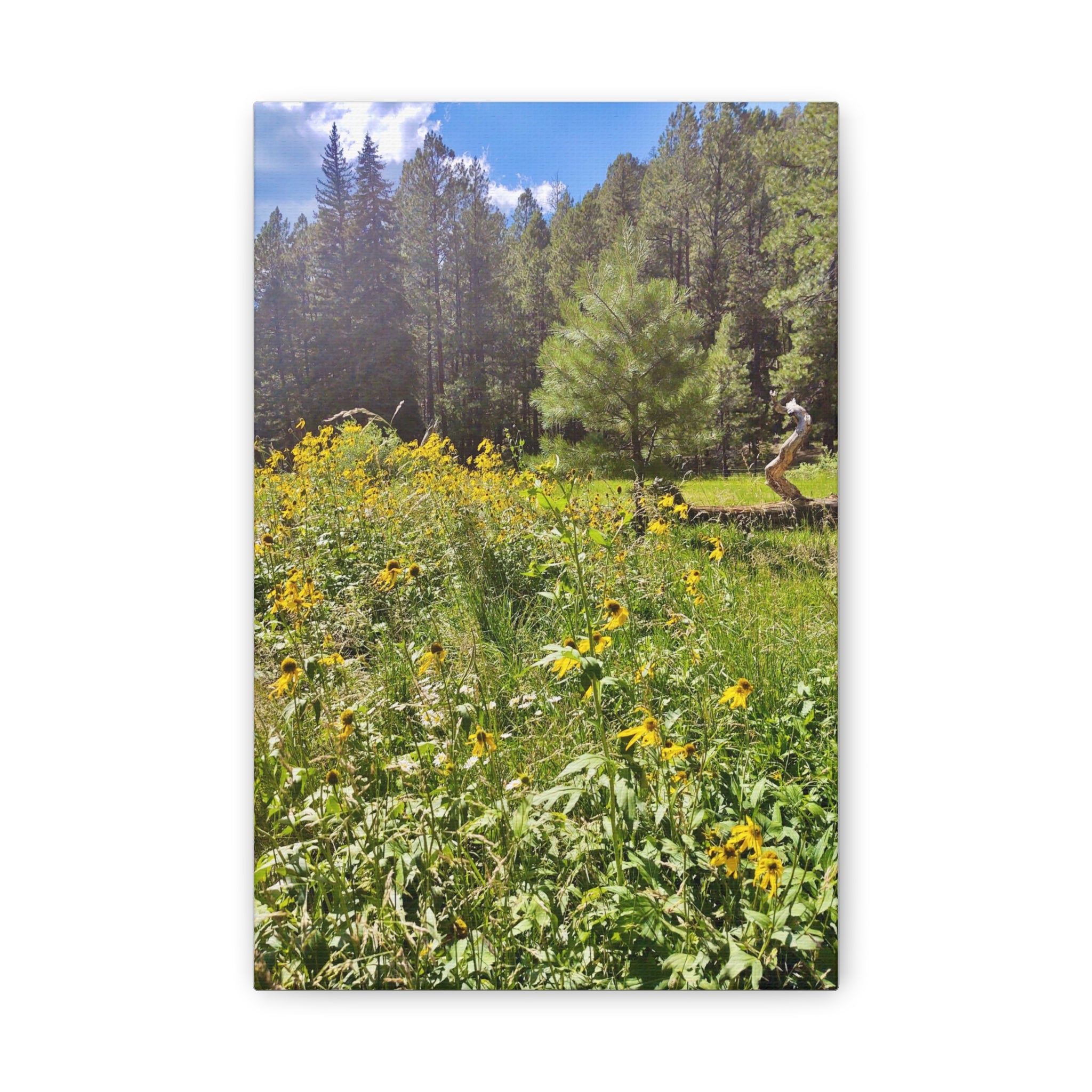 Canvas Wall Art, Nature Photography Decor, Floral Home Decor, Greenery Art Print, Gift for Nature Lovers