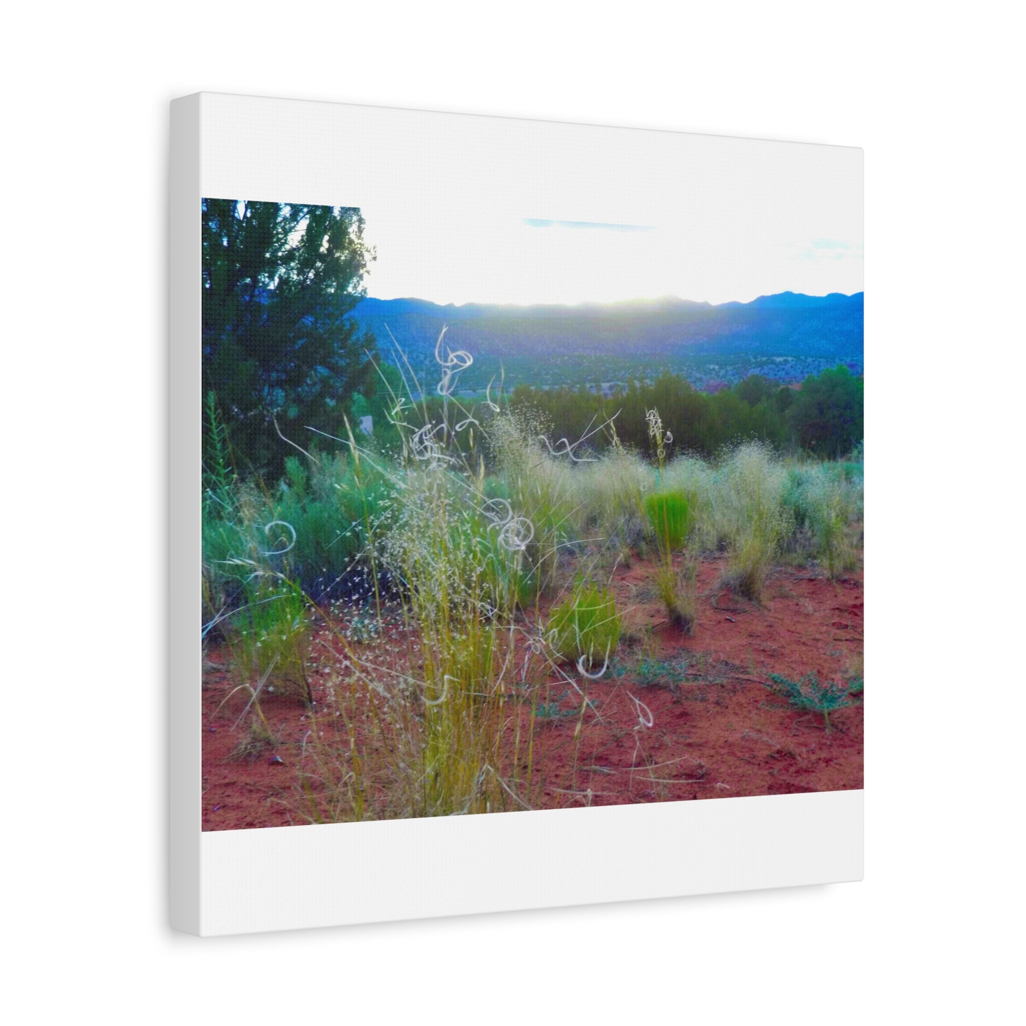 Stretched Canvas Art Print, Nature Wall Decor, Boho Home Decor, Rustic Landscape Art, Gift for Nature Lovers