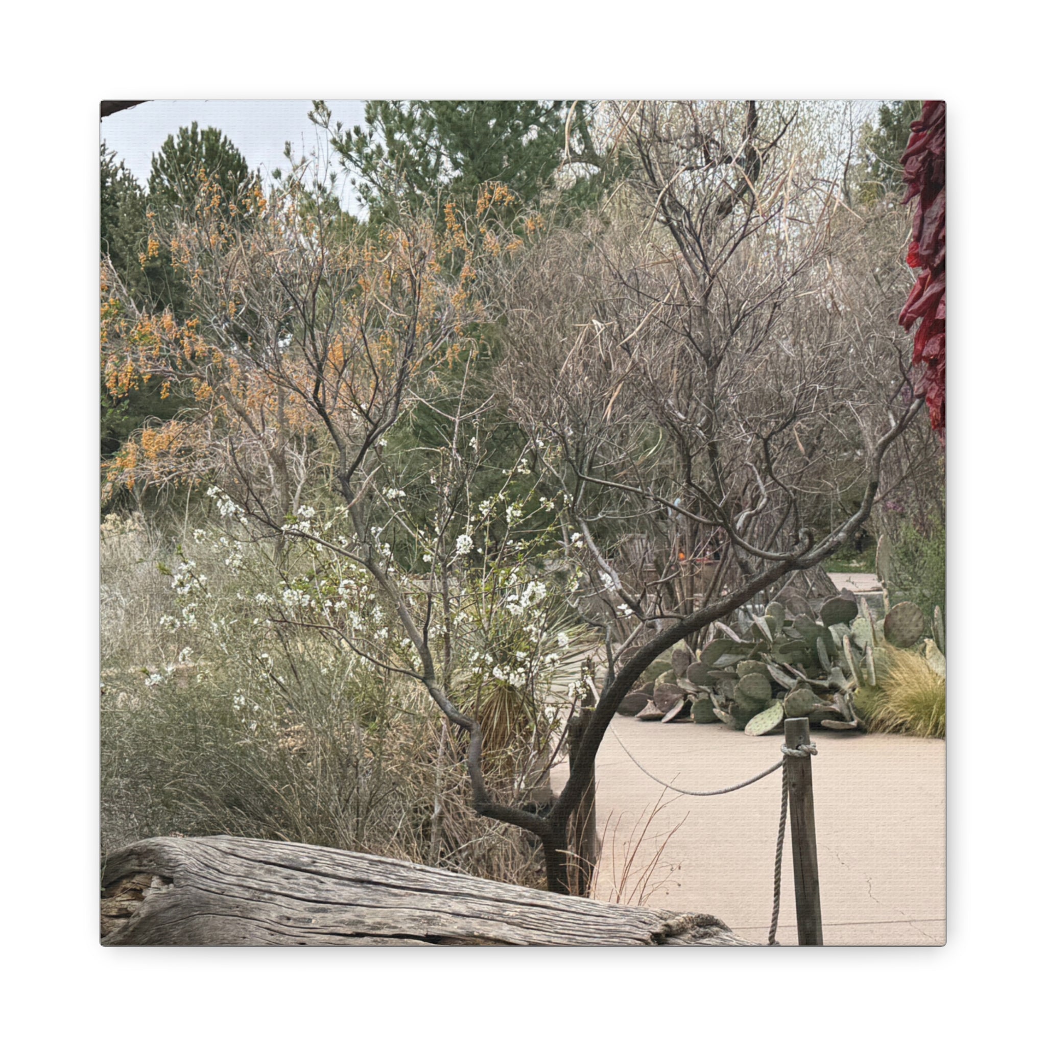 Classic Canvas Art Print, Bohemian Decor, Nature Wall Art, Home Gallery, Rustic Wall Decoration