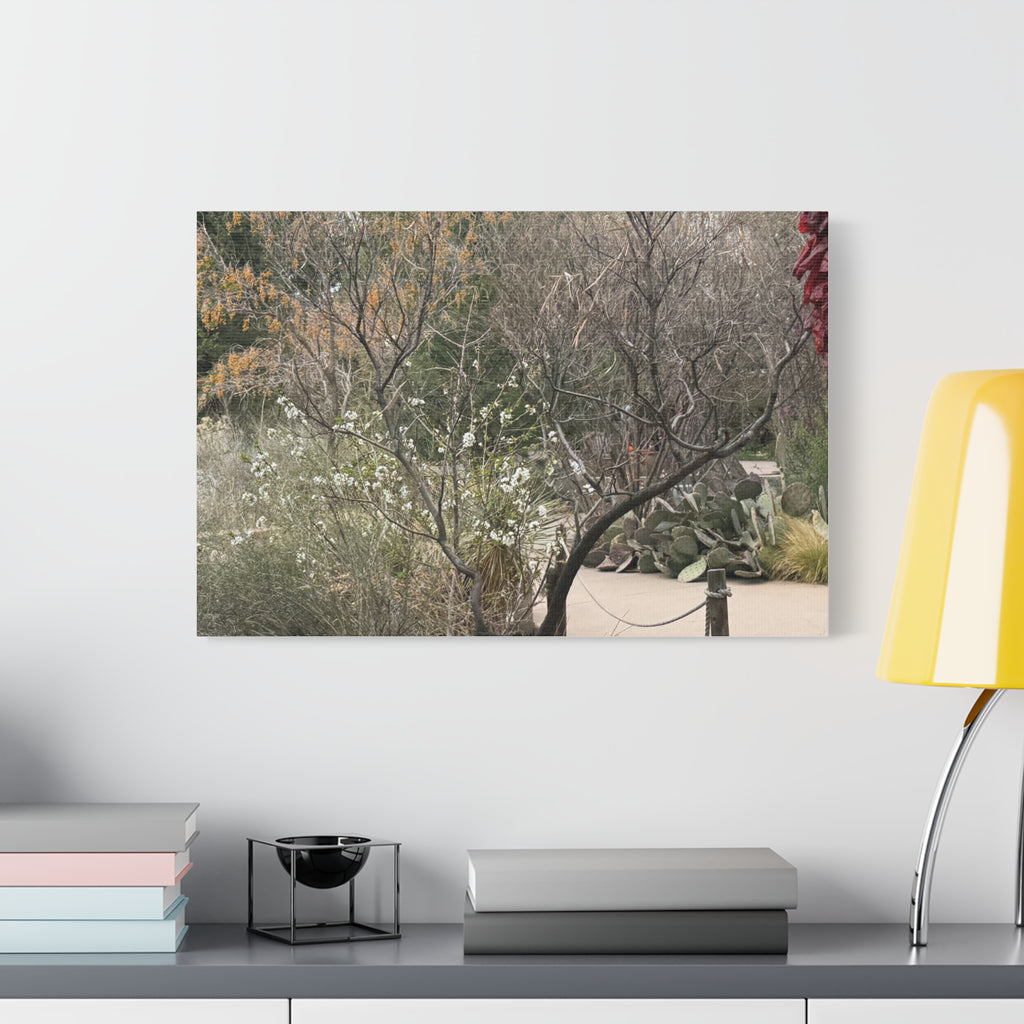 Classic Canvas Art Print, Bohemian Decor, Nature Wall Art, Home Gallery, Rustic Wall Decoration