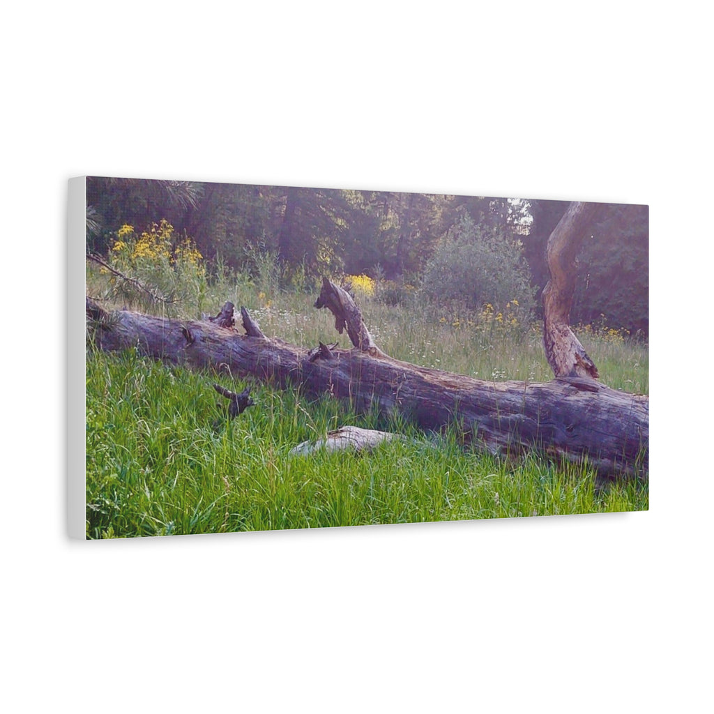 Matte Canvas Wall Art - Serene Nature Scene, Perfect for Home Decor, Gift for Nature Lovers, Office Wall Decoration, Rustic Art Print