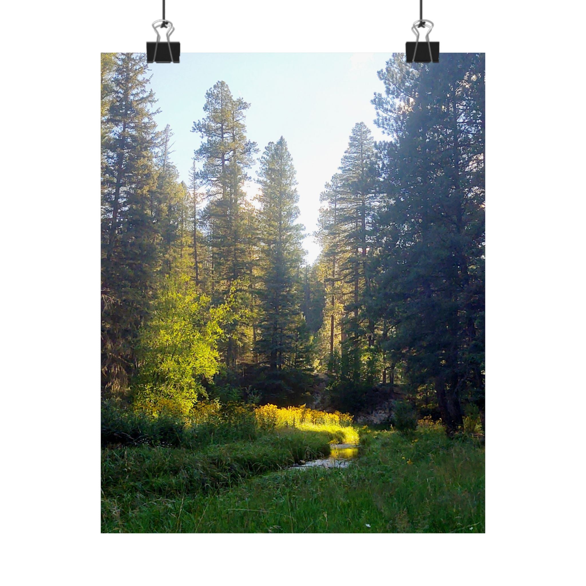 Serene Nature Poster, Wall Art Print, Forest Decor, Botanical Photography, Home Office Artwork