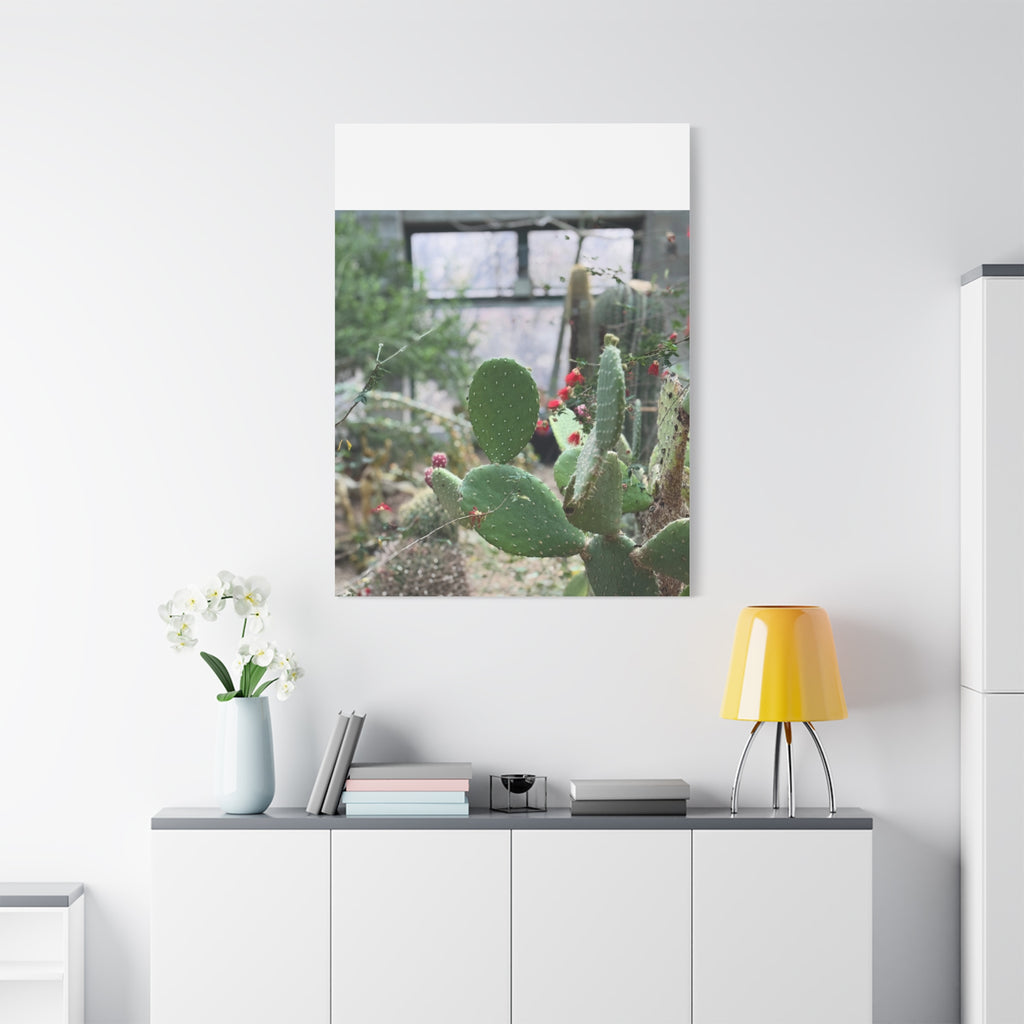 Cactus Matte Canvas Wall Art, Nature Decor, Southwestern Room Design, Green Plant Prints, Home and Office Wall Decor
