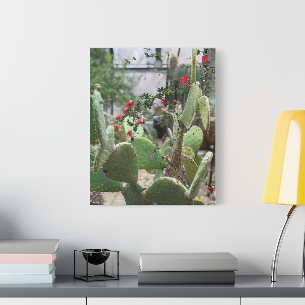 Cactus Artwork Print, Botanical Wall Decor, Succulent Canvas, Nature Lover Gift, Home Decoration