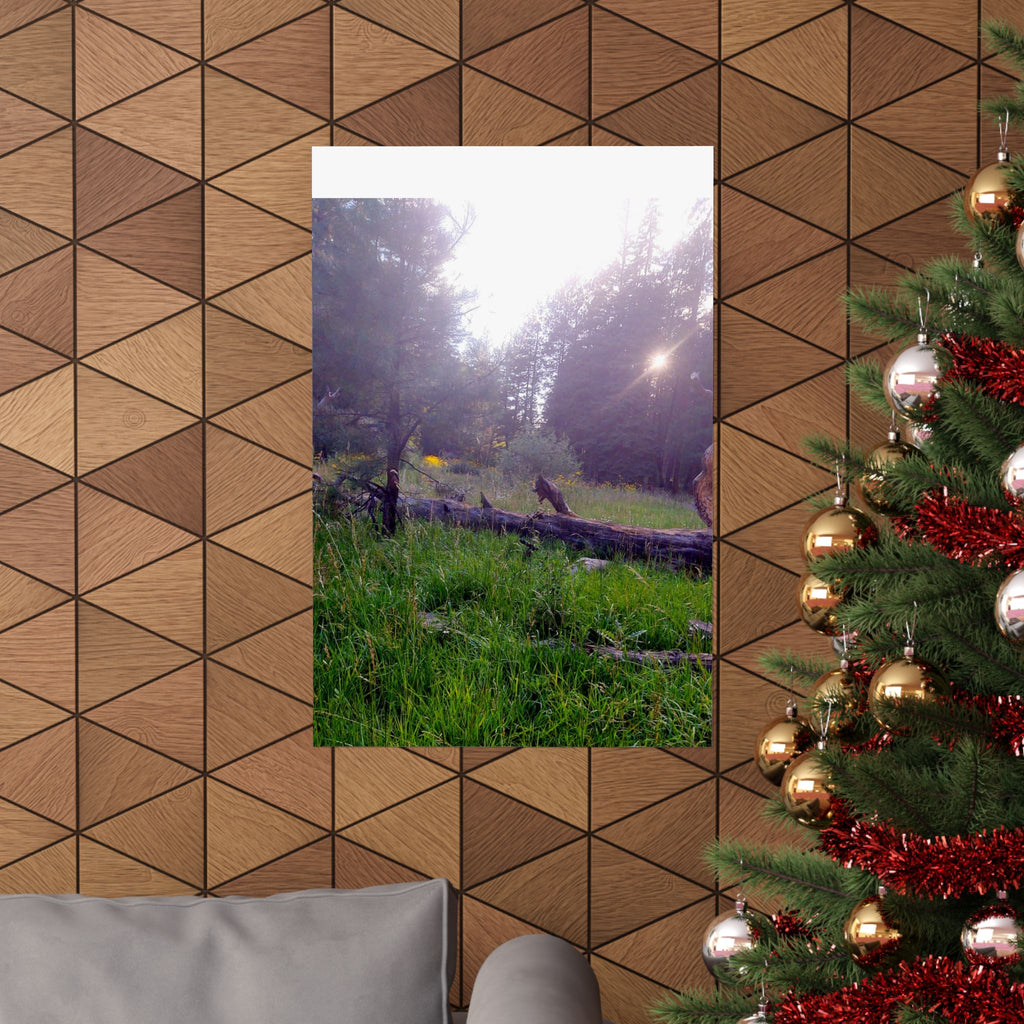 Nature-Inspired Matte Vertical Posters for Home Décor, Unique Wall Art Prints, Botanical Print Collection, Gifts for Nature Lovers, [...]