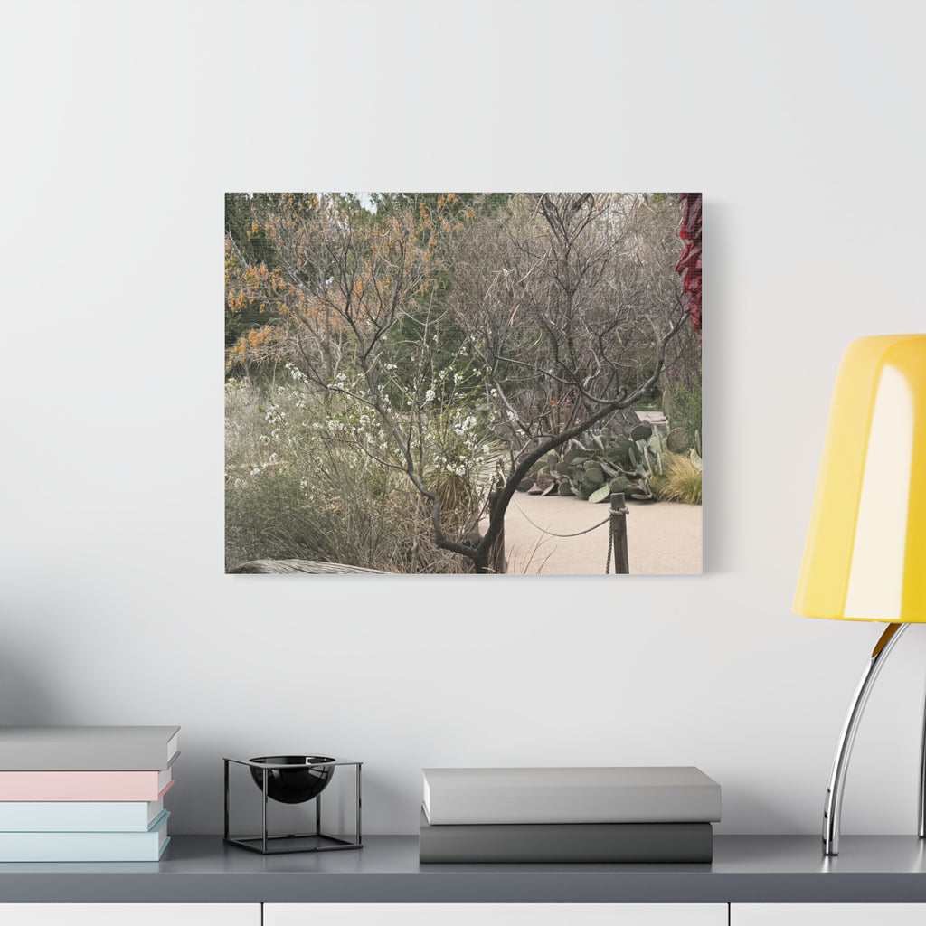 Classic Canvas Art Print, Bohemian Decor, Nature Wall Art, Home Gallery, Rustic Wall Decoration