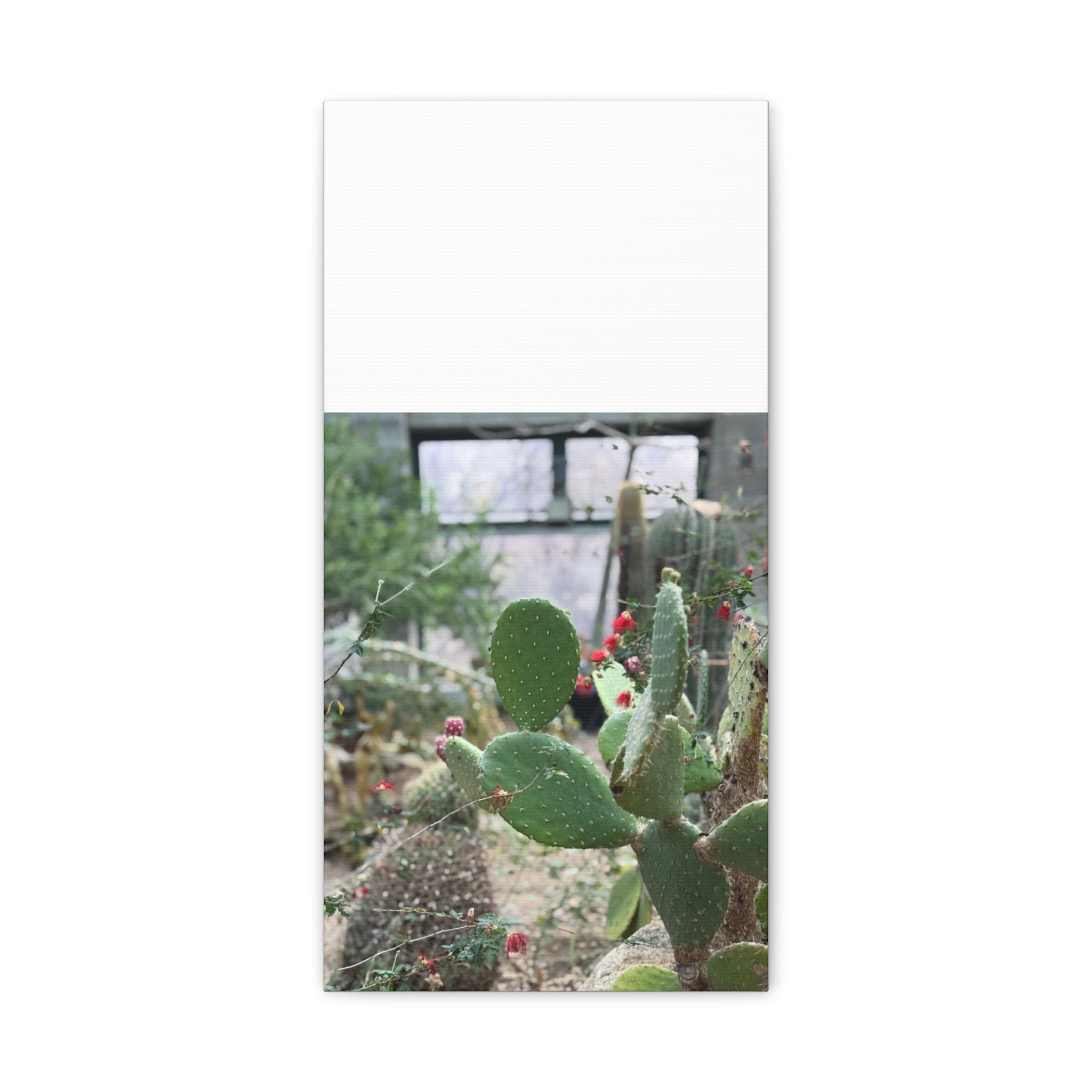 Cactus Matte Canvas Wall Art, Nature Decor, Southwestern Room Design, Green Plant Prints, Home and Office Wall Decor