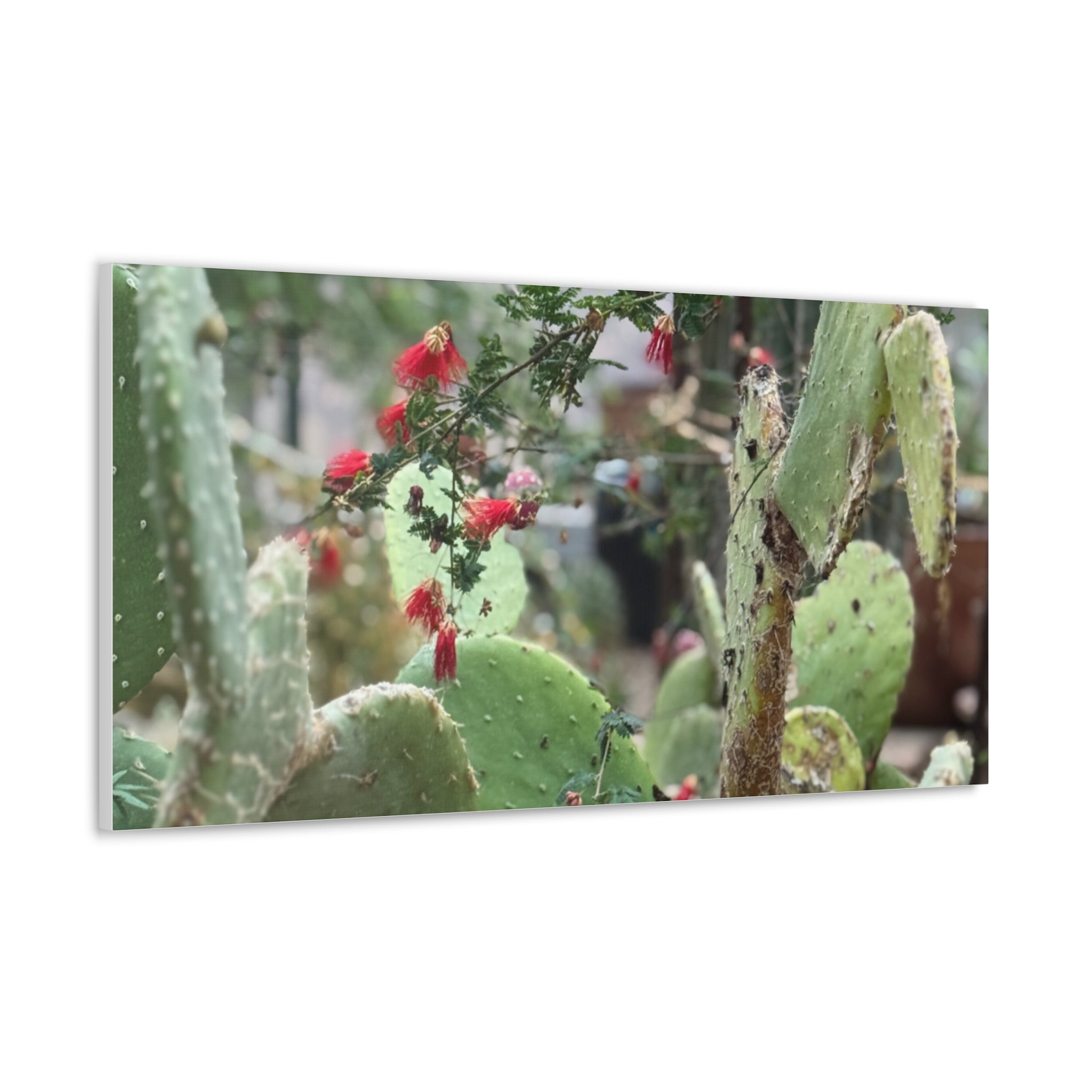 Cactus Artwork Print, Botanical Wall Decor, Succulent Canvas, Nature Lover Gift, Home Decoration