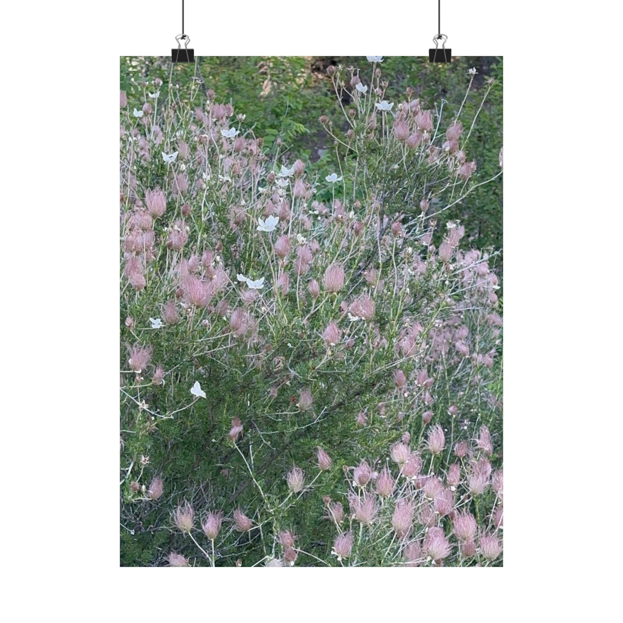 Botanical Vertical Art Print, Pink Floral Poster for Home Decor, Flower Wall Art, Nature-Inspired Artwork, Gift for Garden Lovers