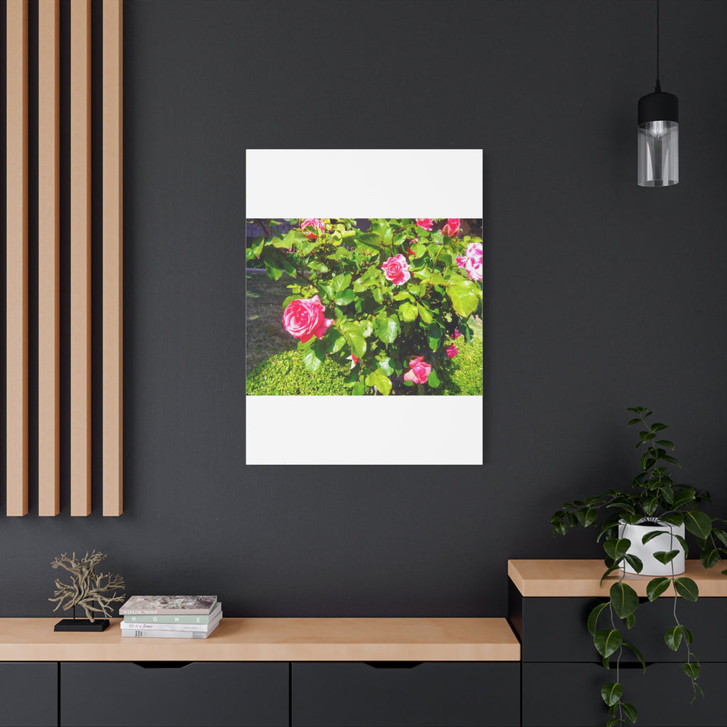 Floral Canvas Wall Art, Pink Rose Decor, Home Gallery Piece, Flower Photography, Garden Wall Decor, Floral Print