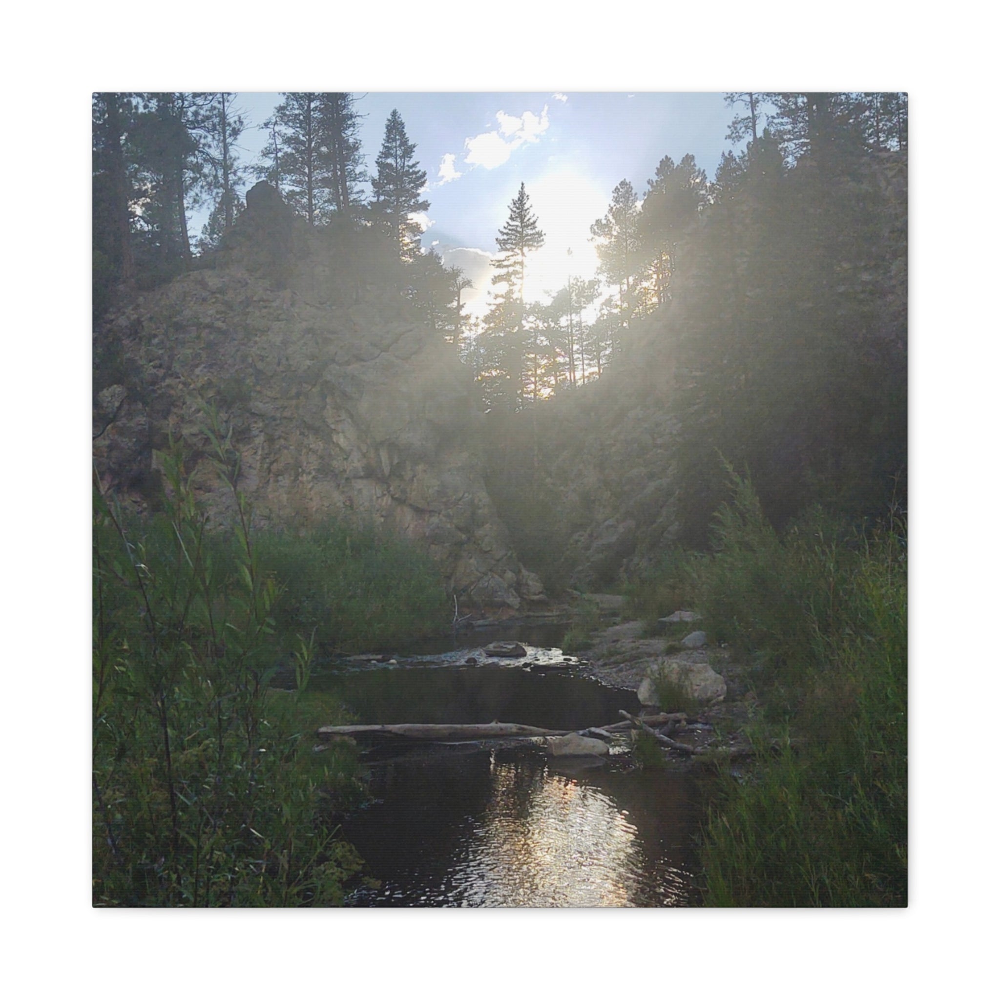 Nature Wall Art Canvas Print for Home Decor, Serene Landscape Artwork, Office Decor, Gift for Nature Lovers, Outdoor Photography