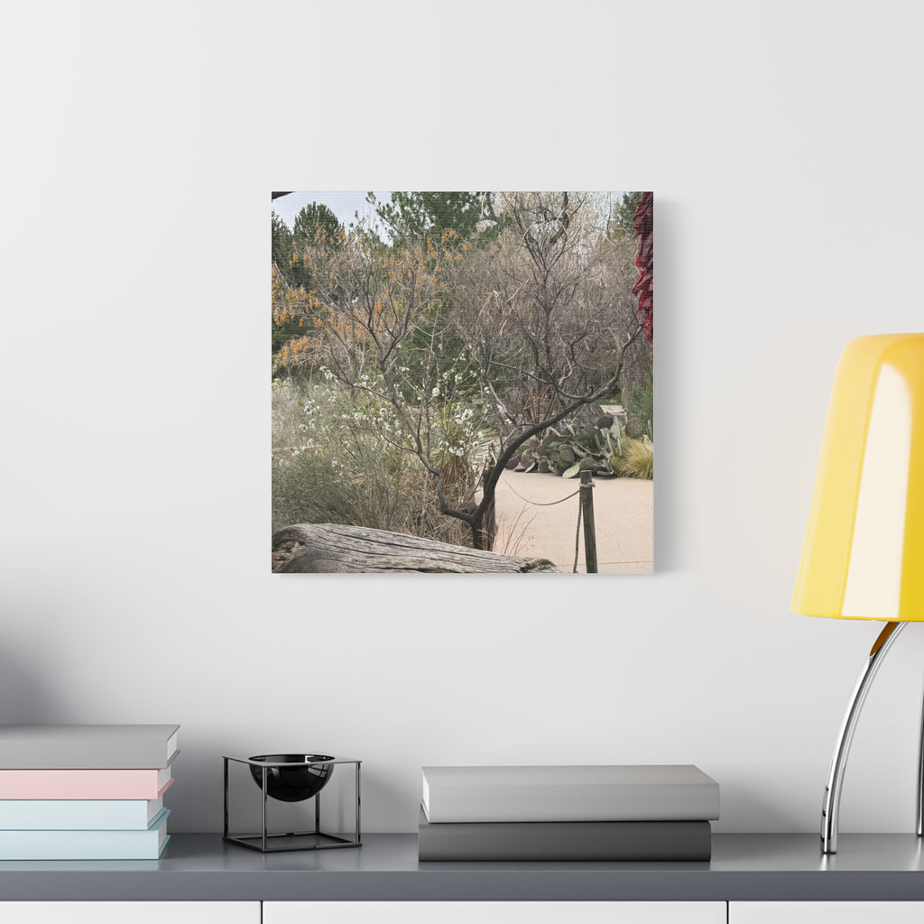 Classic Canvas Art Print, Bohemian Decor, Nature Wall Art, Home Gallery, Rustic Wall Decoration