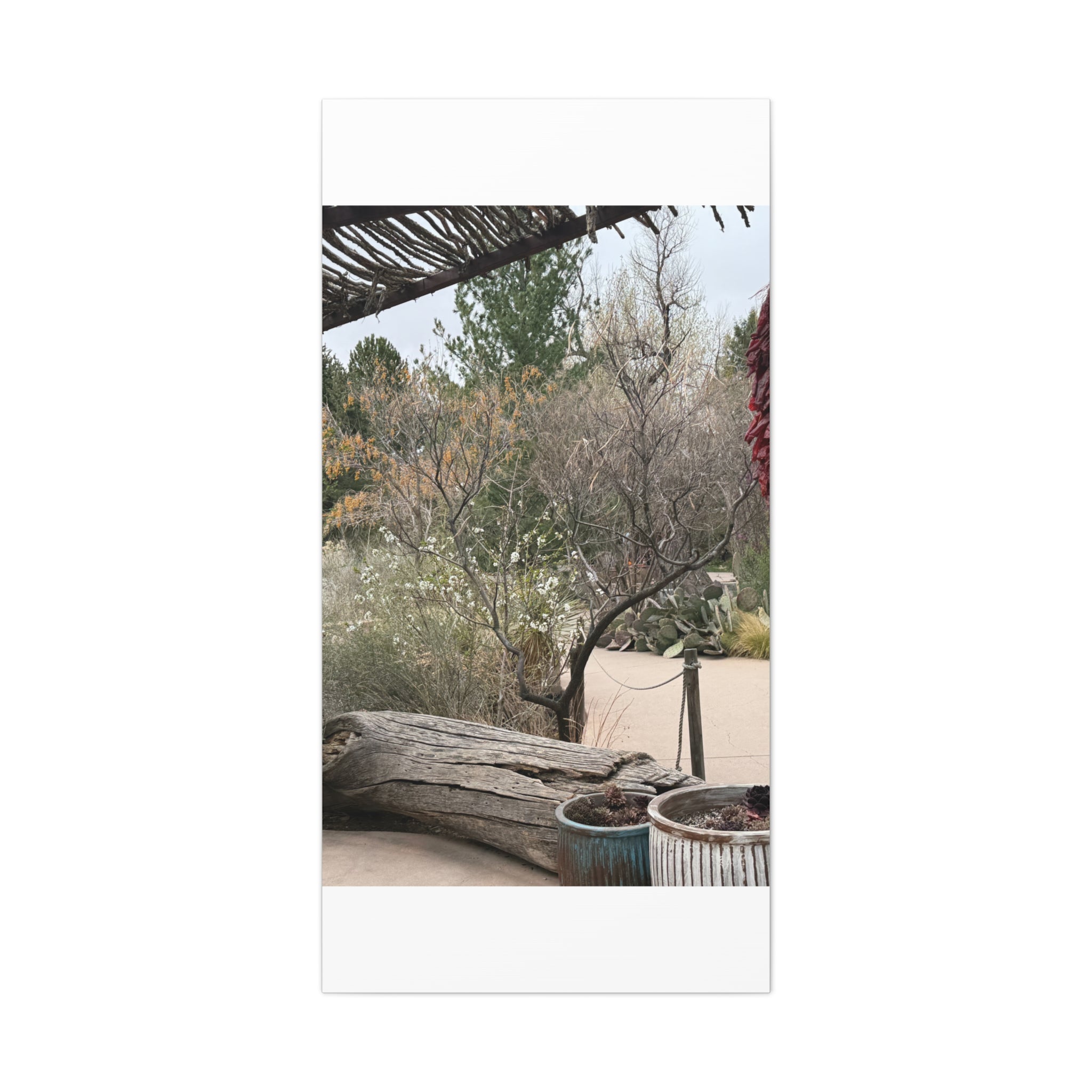 Classic Canvas Art Print, Bohemian Decor, Nature Wall Art, Home Gallery, Rustic Wall Decoration