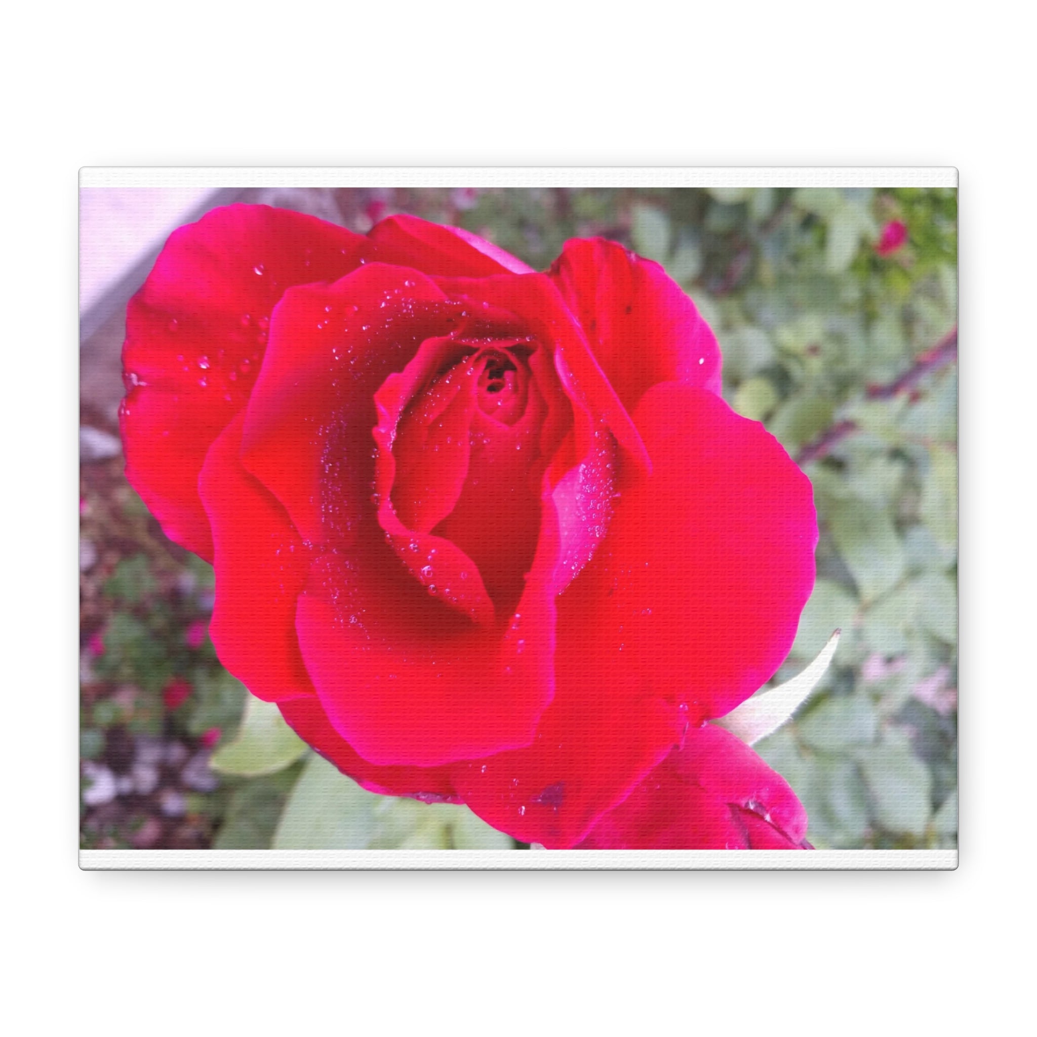 Vibrant Floral Canvas Art, Elegant Wall Decor, Perfect for Home, Gifts, Mother's Day, and Weddings