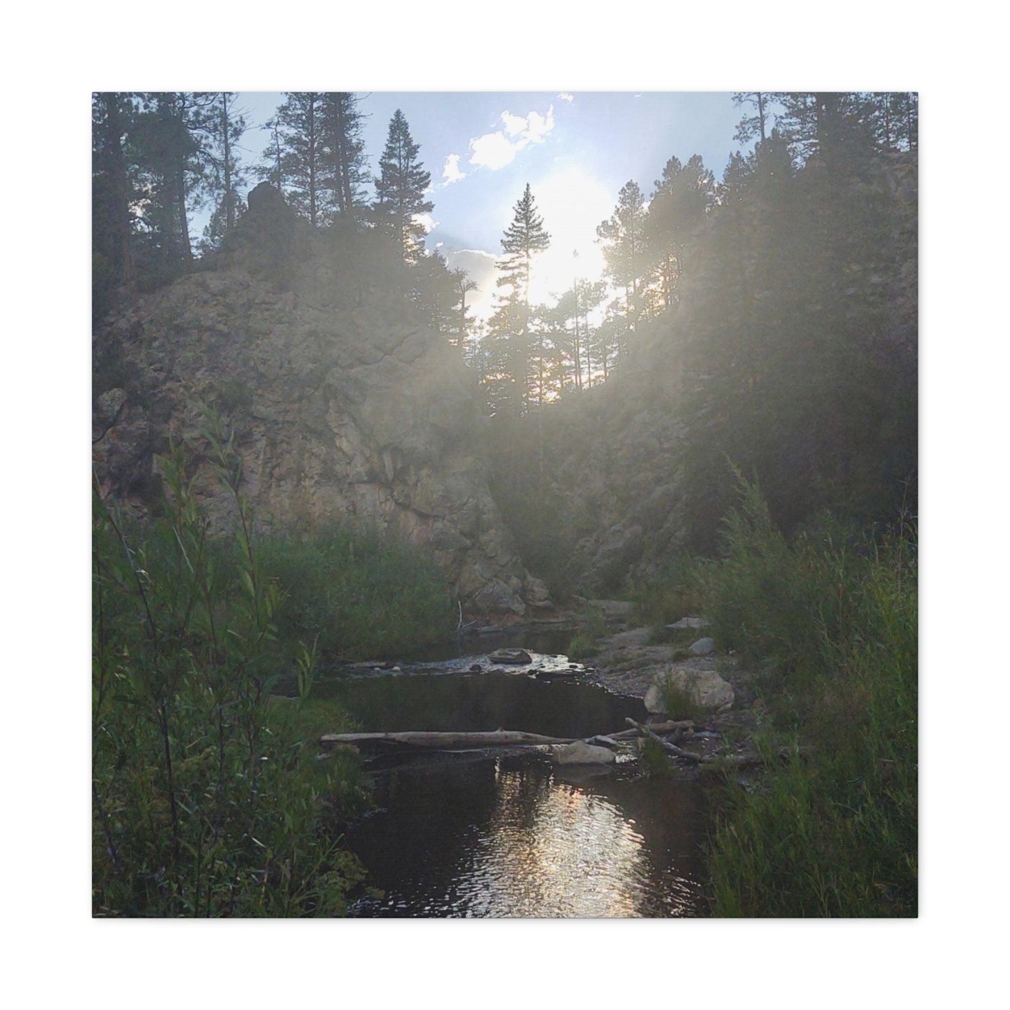 Nature Wall Art Canvas Print for Home Decor, Serene Landscape Artwork, Office Decor, Gift for Nature Lovers, Outdoor Photography