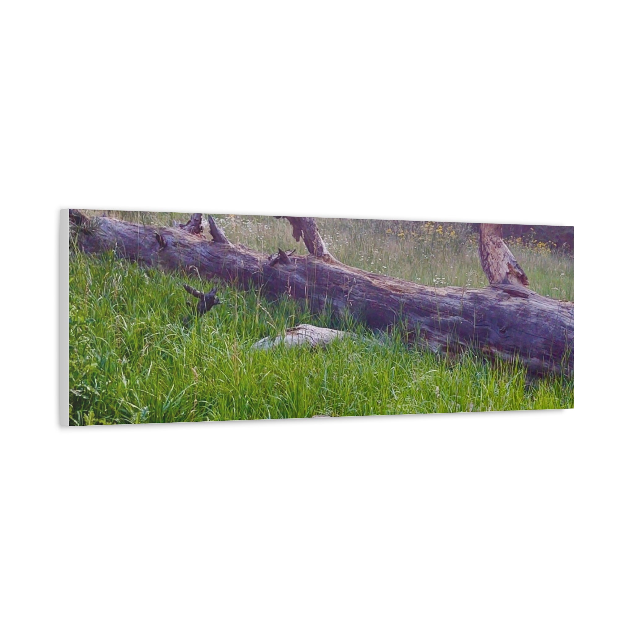 Matte Canvas Wall Art - Serene Nature Scene, Perfect for Home Decor, Gift for Nature Lovers, Office Wall Decoration, Rustic Art Print