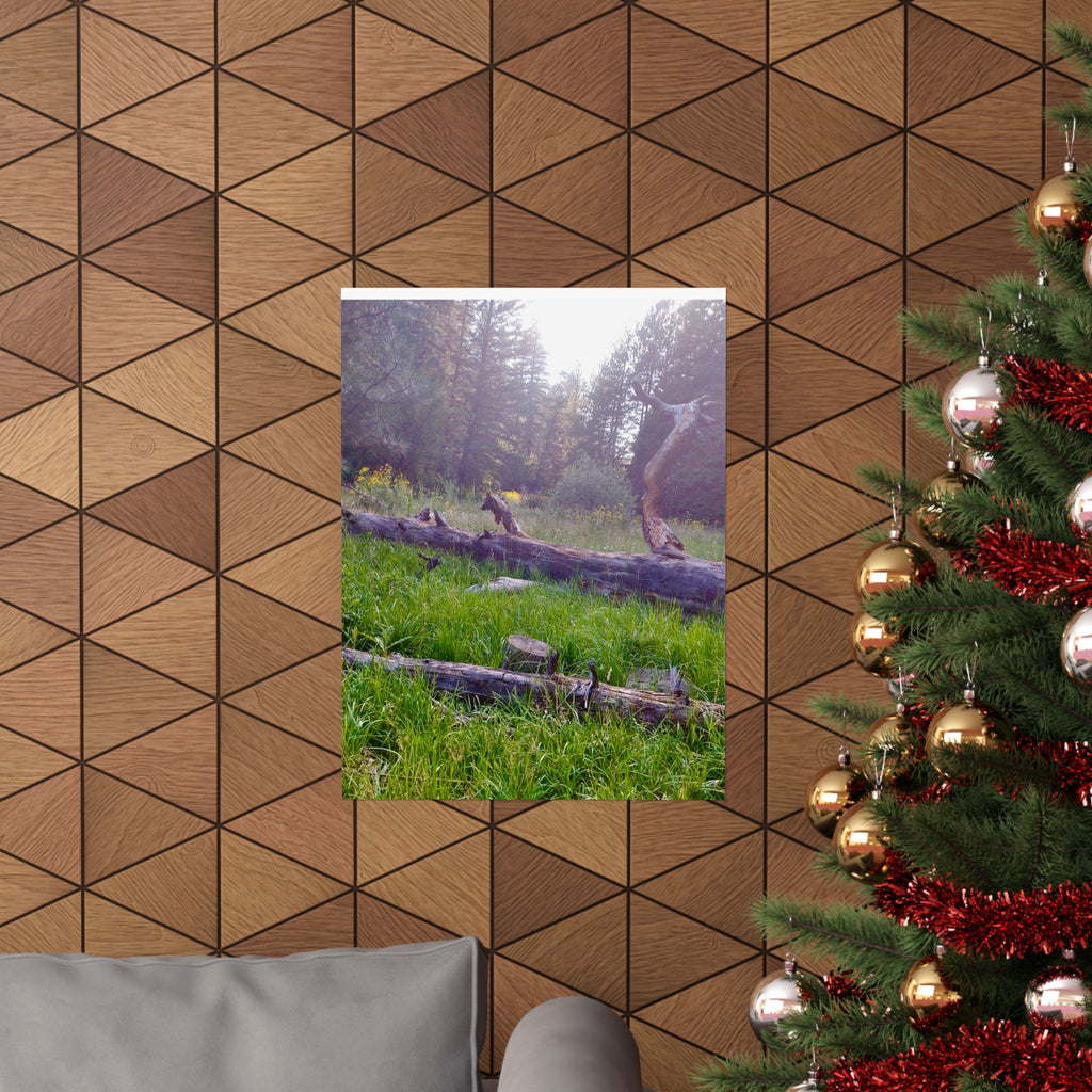 Nature-Inspired Matte Vertical Posters, Wall Art Decor, Forest Photo Prints, Home Aesthetic, Gift for Nature Lovers