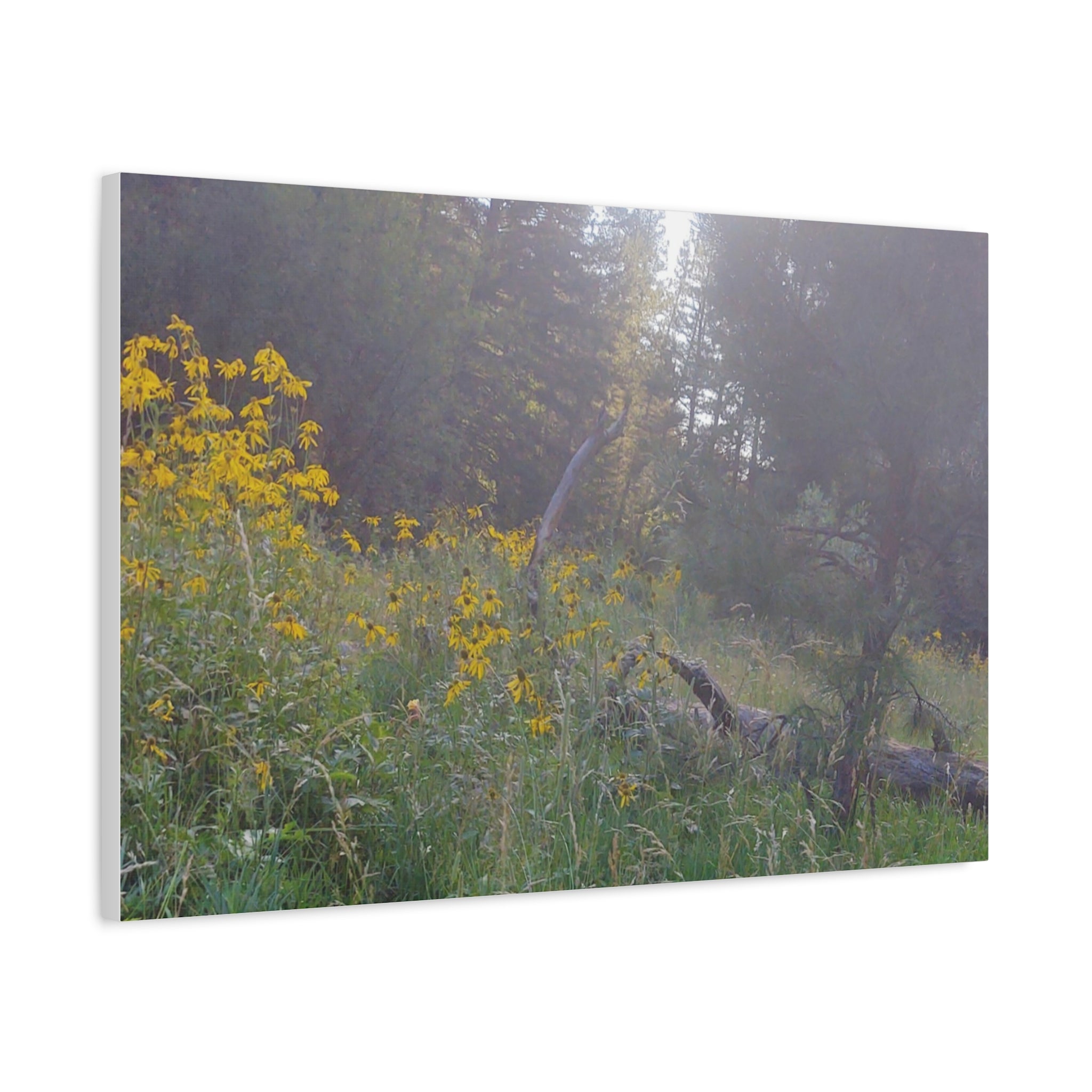 Matte Canvas, Stretched, 1.25"