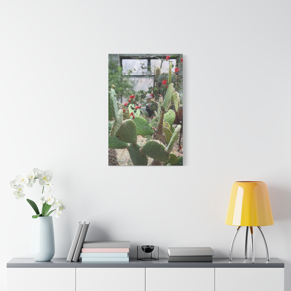 Cactus Artwork Print, Botanical Wall Decor, Succulent Canvas, Nature Lover Gift, Home Decoration
