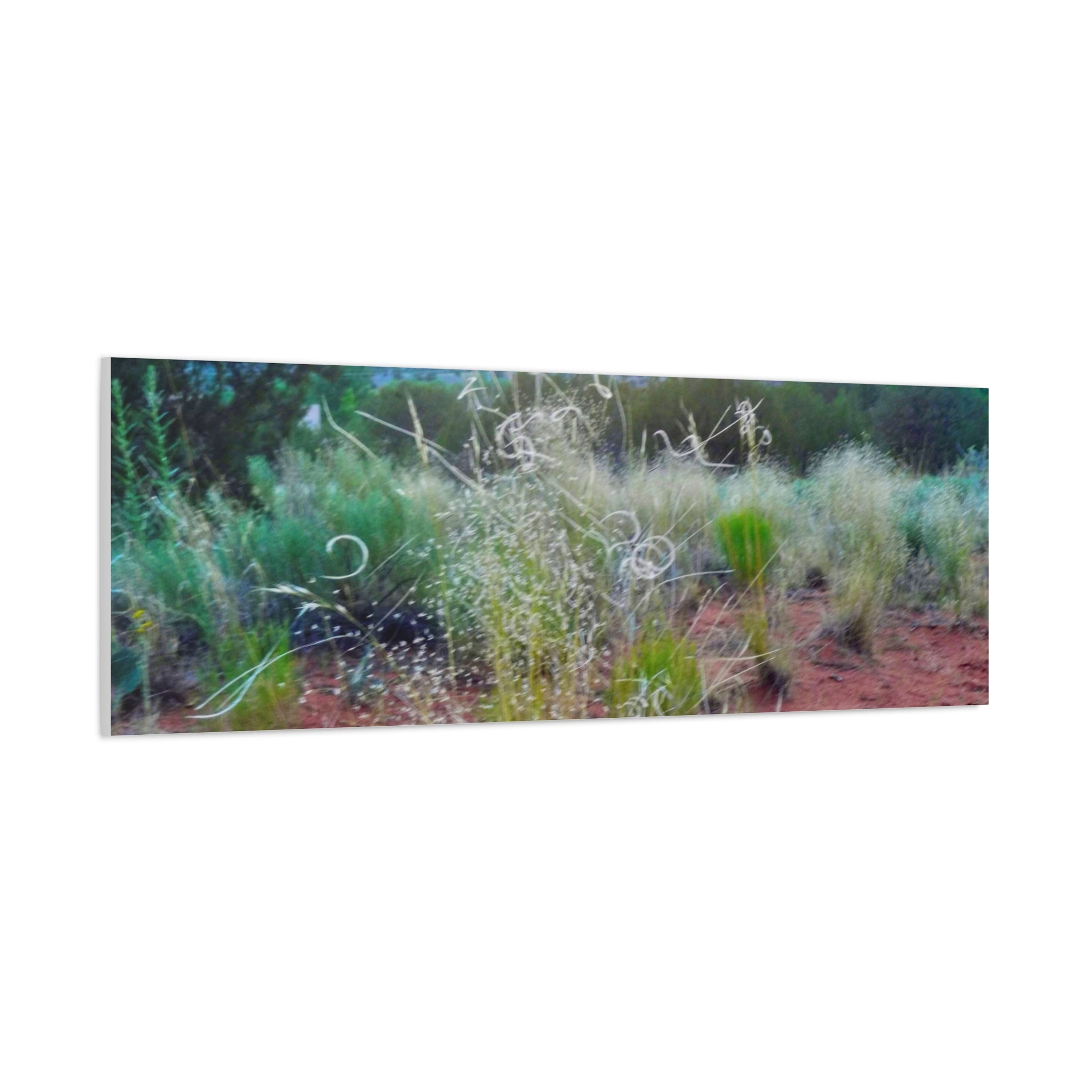 Serene Desert Landscape Canvas Print, Nature Wall Art, Home Decor, Gift for Nature Lovers, Rustic Art for Living Room, Boho Decor