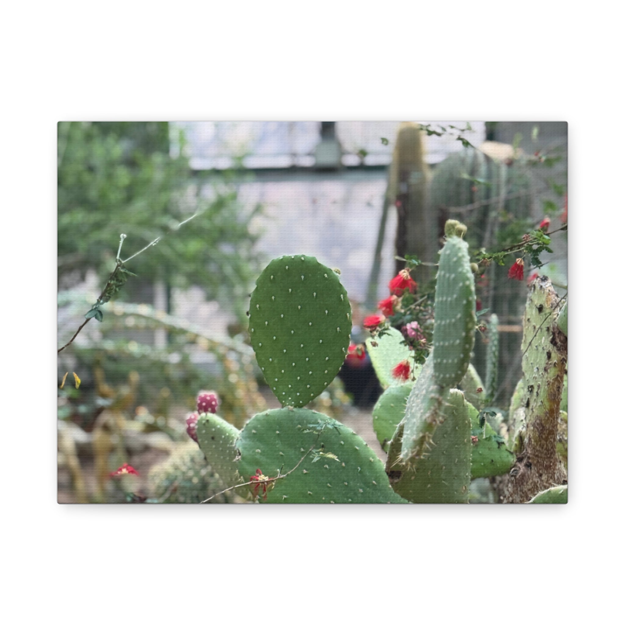 Cactus Matte Canvas Wall Art, Nature Decor, Southwestern Room Design, Green Plant Prints, Home and Office Wall Decor