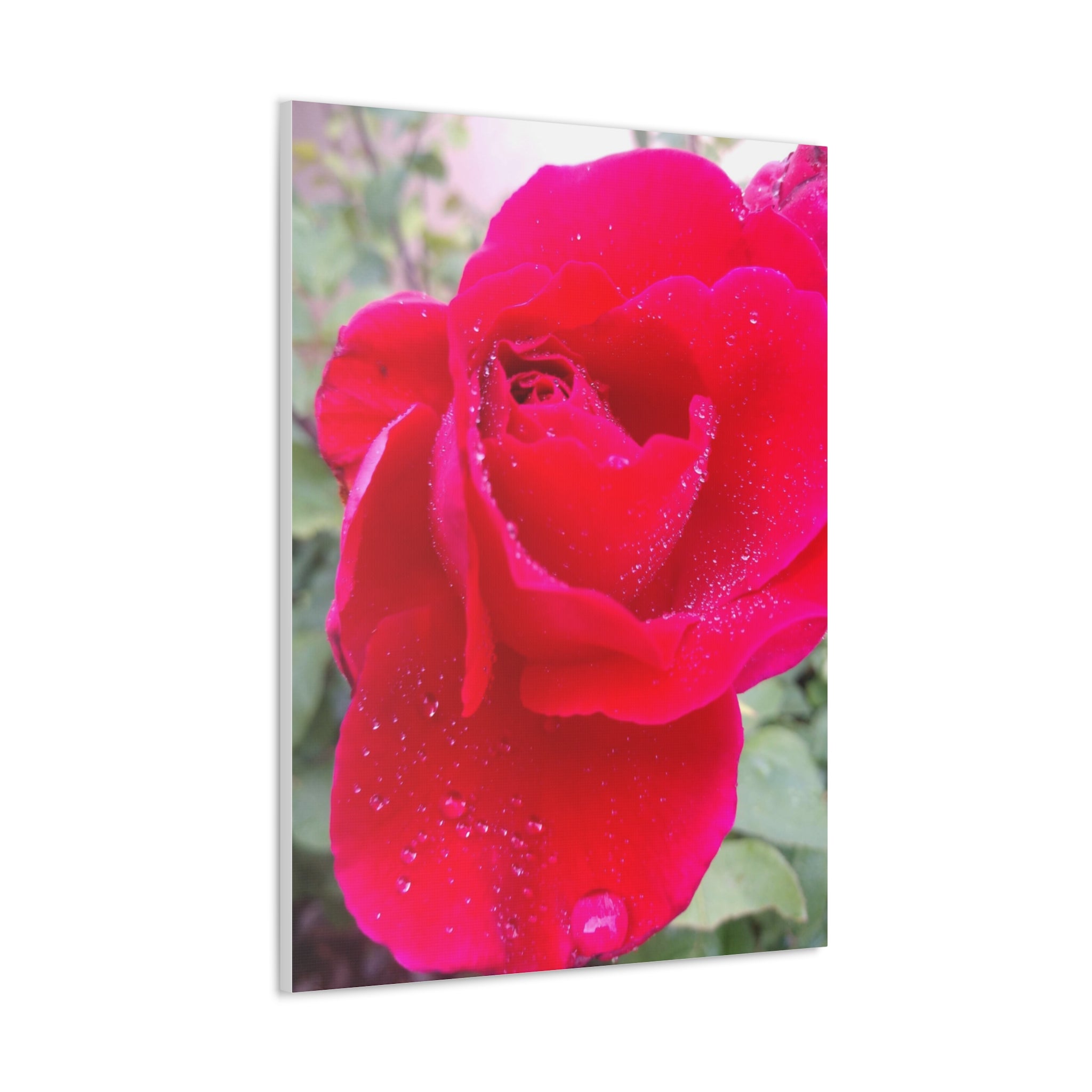 Stunning Floral Canvas Print, Home Decor, Wall Art, Gift for Flower Lovers, Red Rose Art, Mother's Day Gift