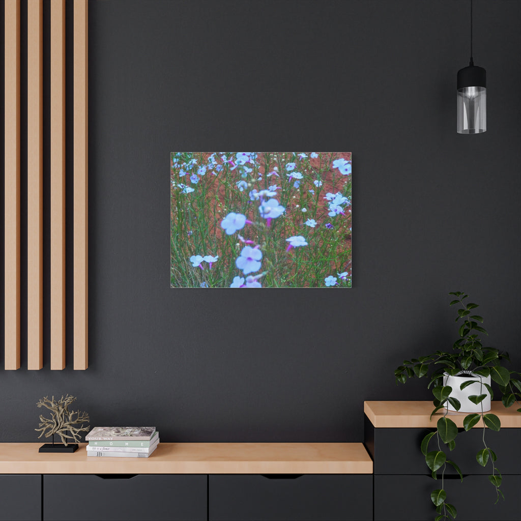 Floral Canvas Wall Art, Home Decor, Wall Hanging, Gift Idea, Nature Art, Flower Print