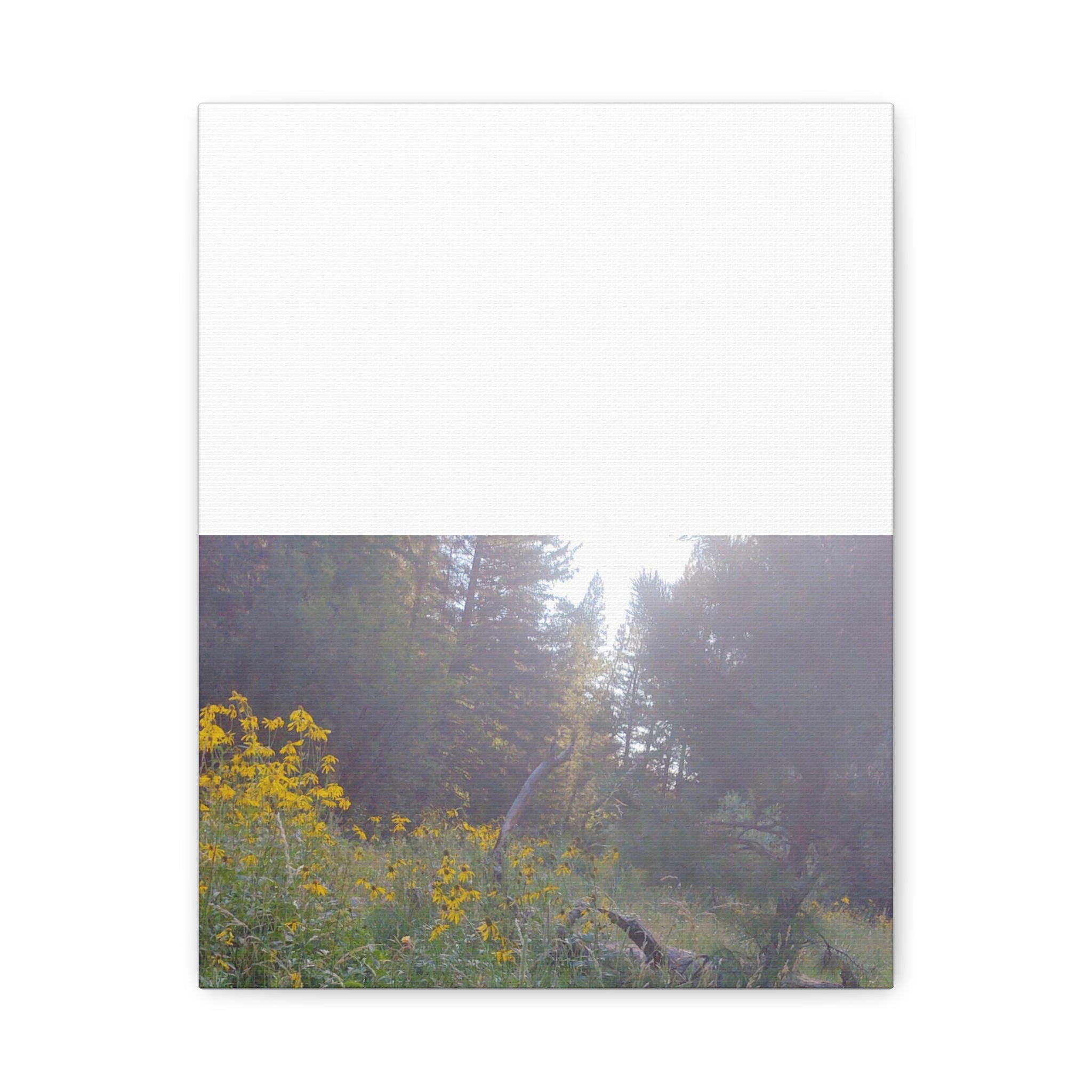 Matte Canvas, Stretched, 1.25"