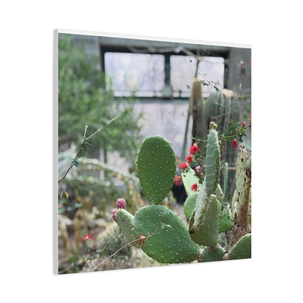 Cactus Matte Canvas Wall Art, Nature Decor, Southwestern Room Design, Green Plant Prints, Home and Office Wall Decor