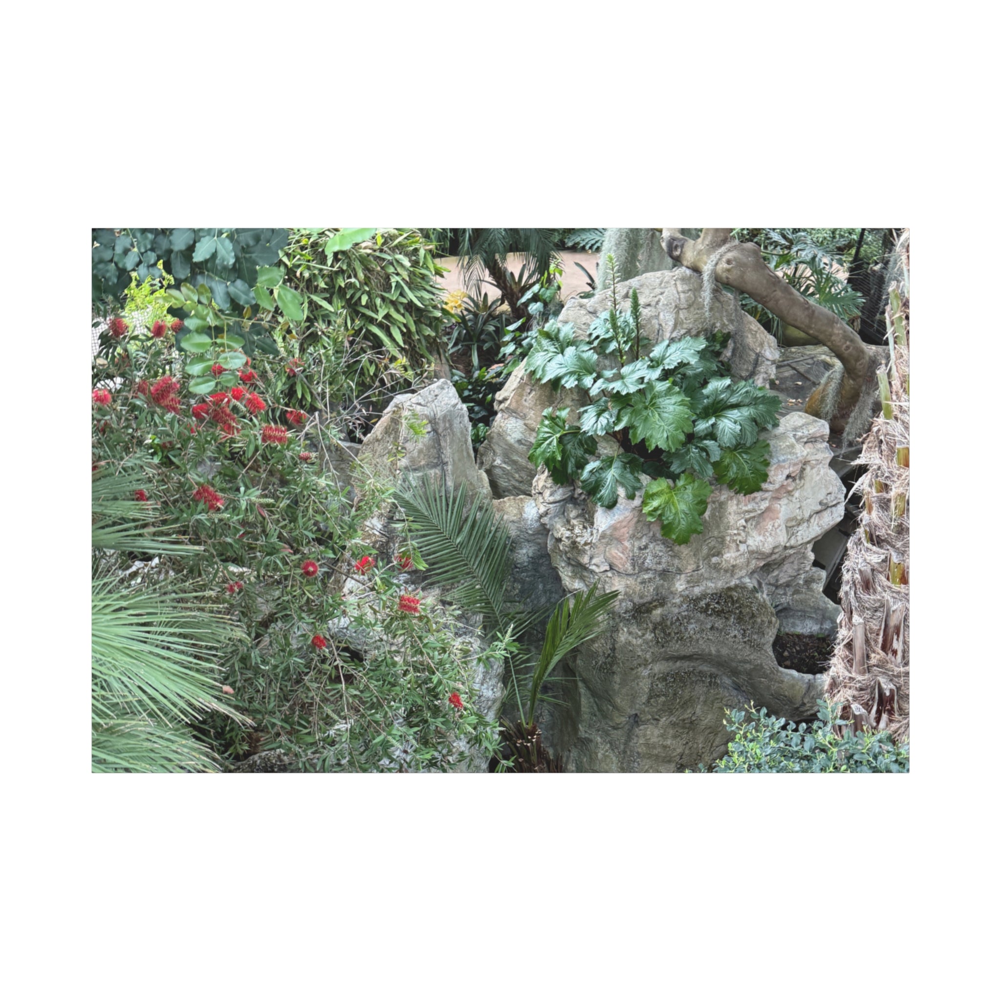 Garden Landscape Canvas Wall Art, Nature Decor, Home Decoration, Gift for Nature Lovers, Eco-Friendly Art, Botanical Wall Decor