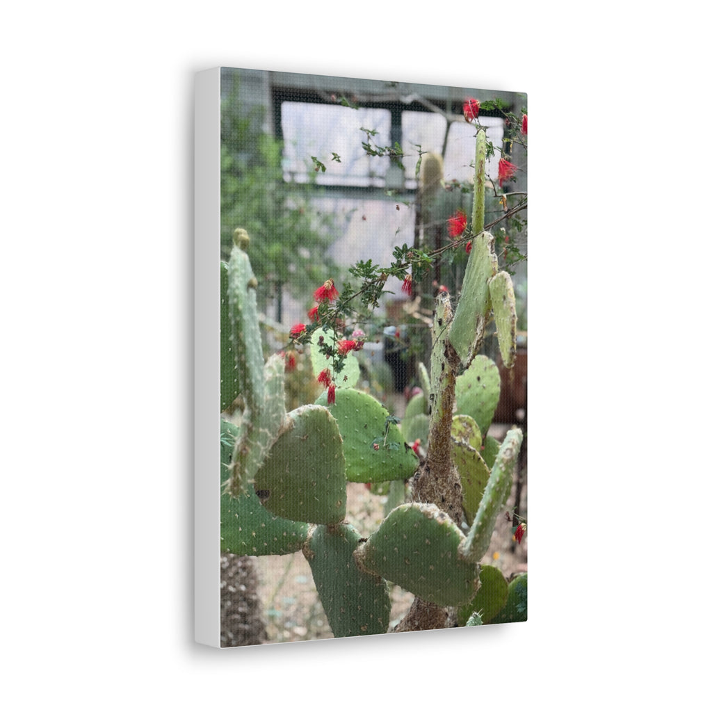 Cactus Artwork Print, Botanical Wall Decor, Succulent Canvas, Nature Lover Gift, Home Decoration