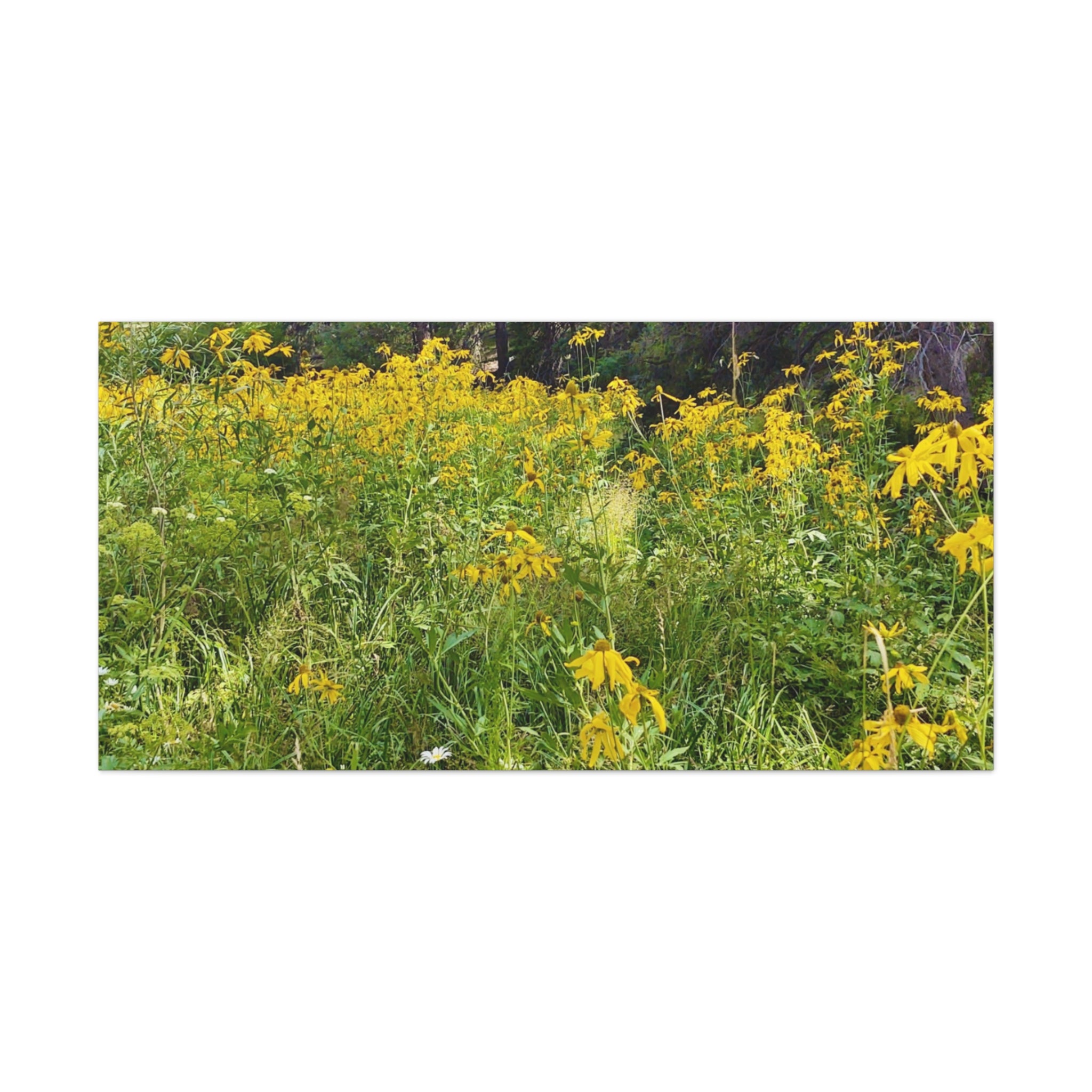 Nature-Inspired Wall Art Print, Classic Canvas Landscape, Floral Forest Decor, Home Wall Decoration, Gift for Nature Lovers