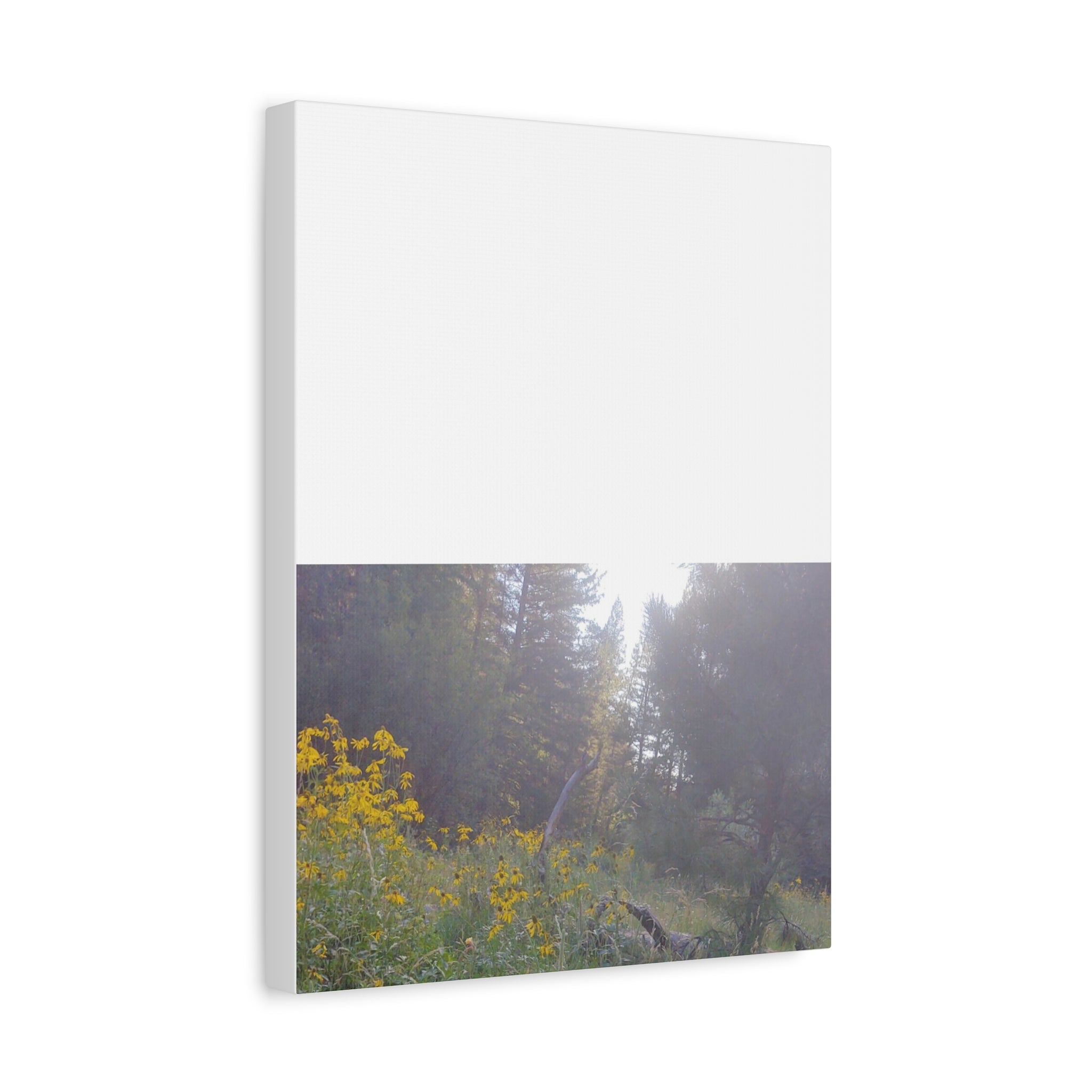 Matte Canvas, Stretched, 1.25"