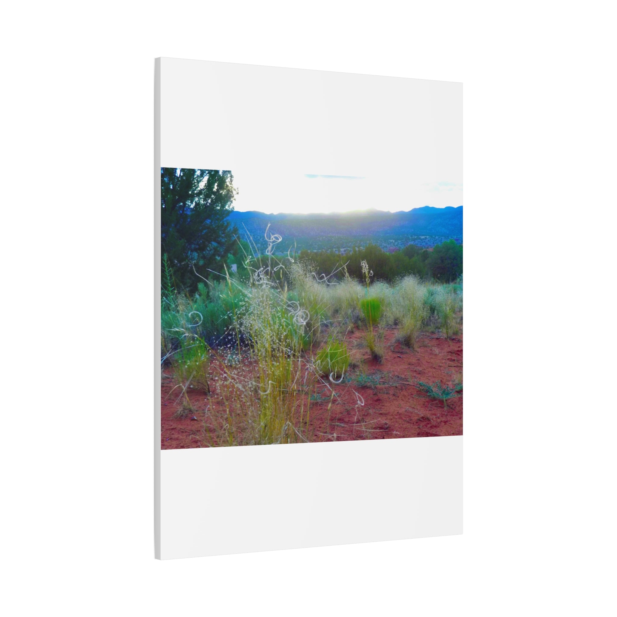 Stretched Canvas Art Print, Nature Wall Decor, Boho Home Decor, Rustic Landscape Art, Gift for Nature Lovers