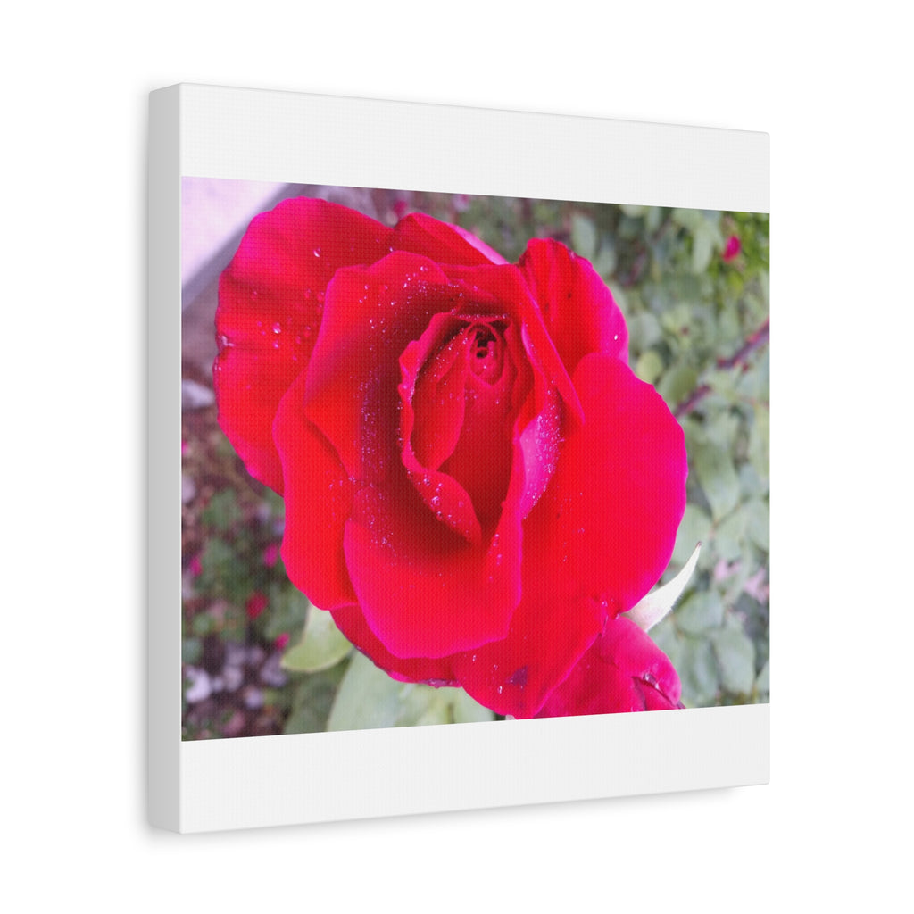 Vibrant Floral Canvas Art, Elegant Wall Decor, Perfect for Home, Gifts, Mother's Day, and Weddings