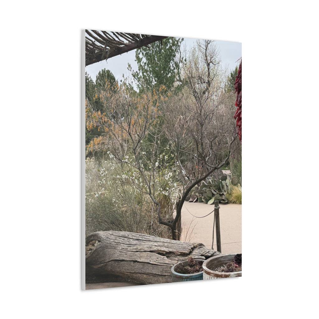 Classic Canvas Art Print, Bohemian Decor, Nature Wall Art, Home Gallery, Rustic Wall Decoration