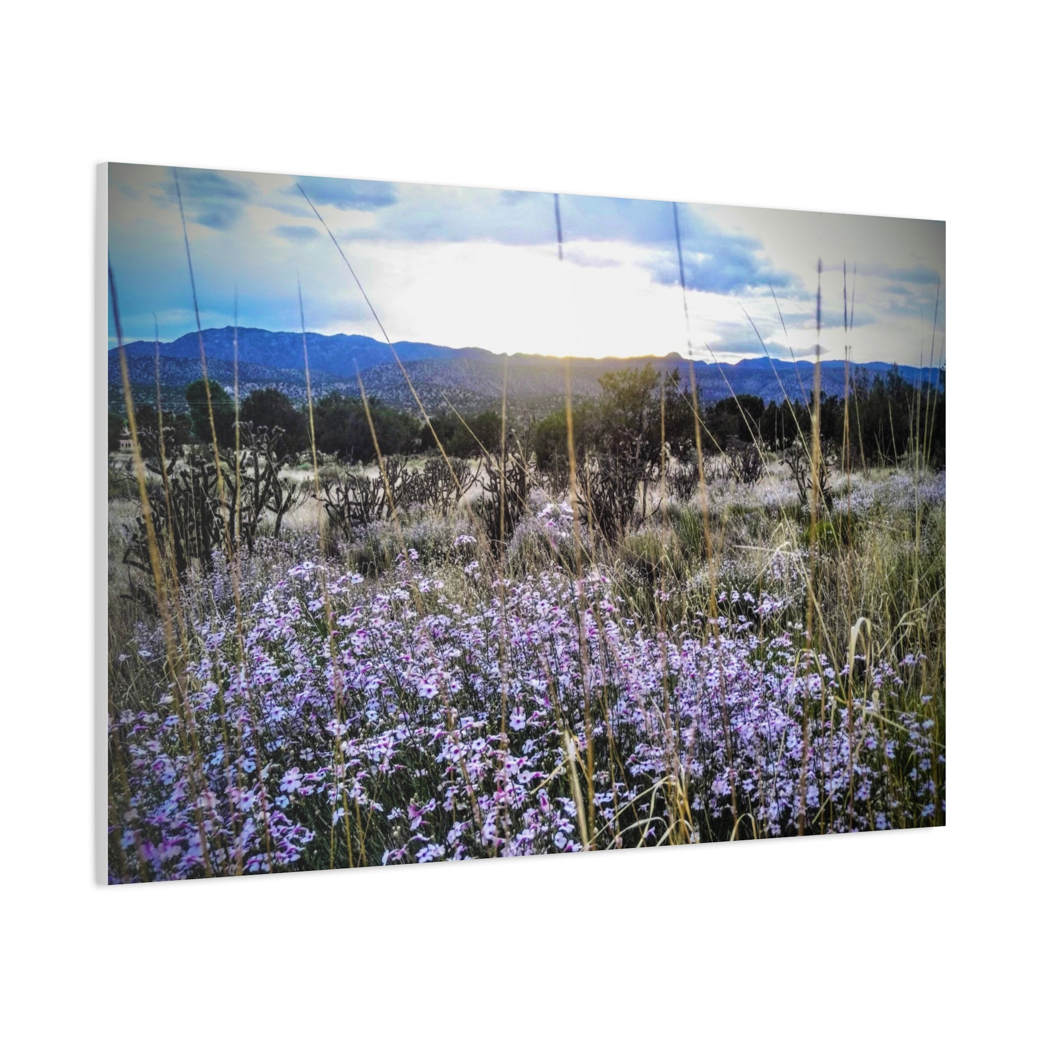 Framed Botanical Wall Art, Floral Canvas Print, Nature Decor, Home Interior Art, Gift for Garden Lovers, Beautiful Flower Landscape