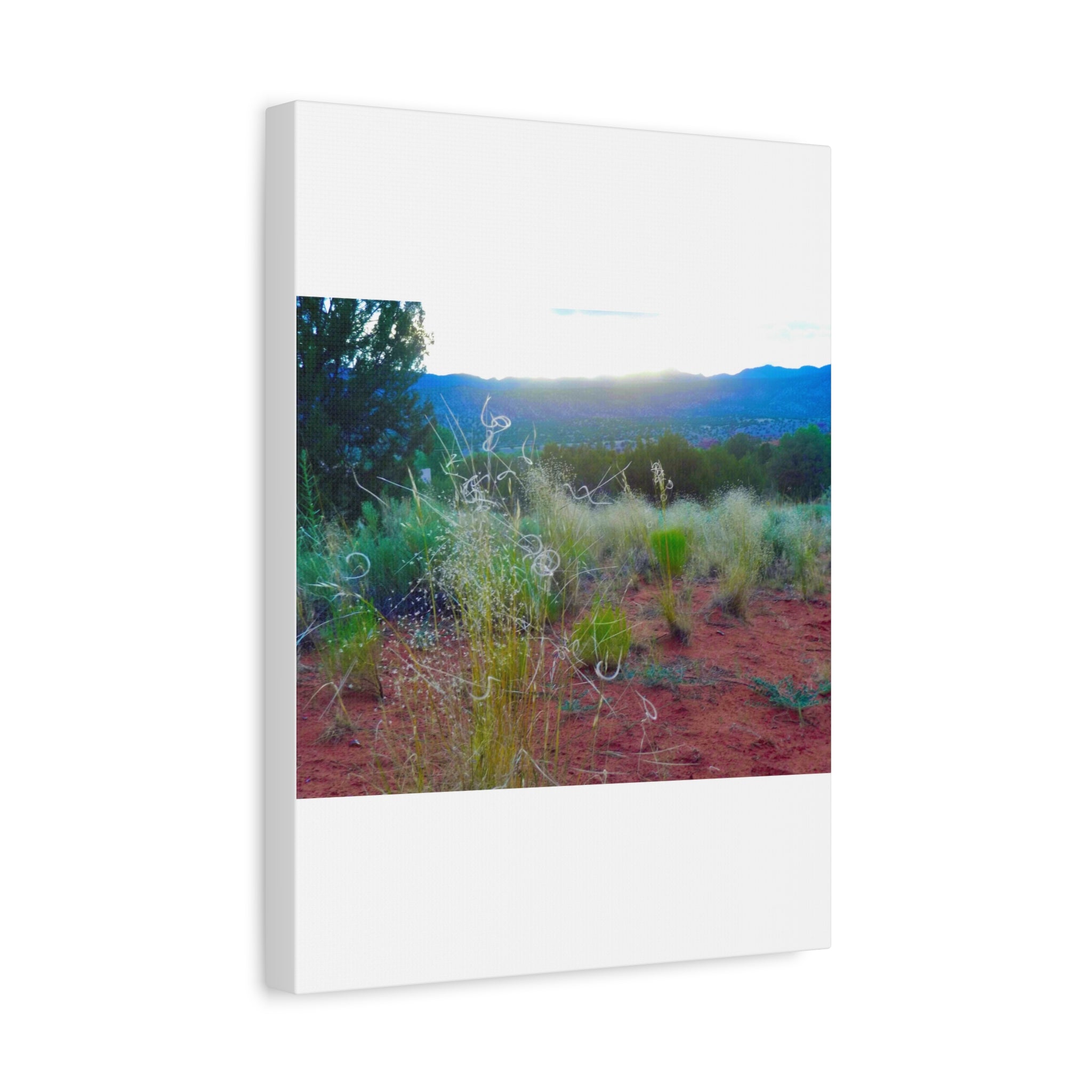 Stretched Canvas Art Print, Nature Wall Decor, Boho Home Decor, Rustic Landscape Art, Gift for Nature Lovers